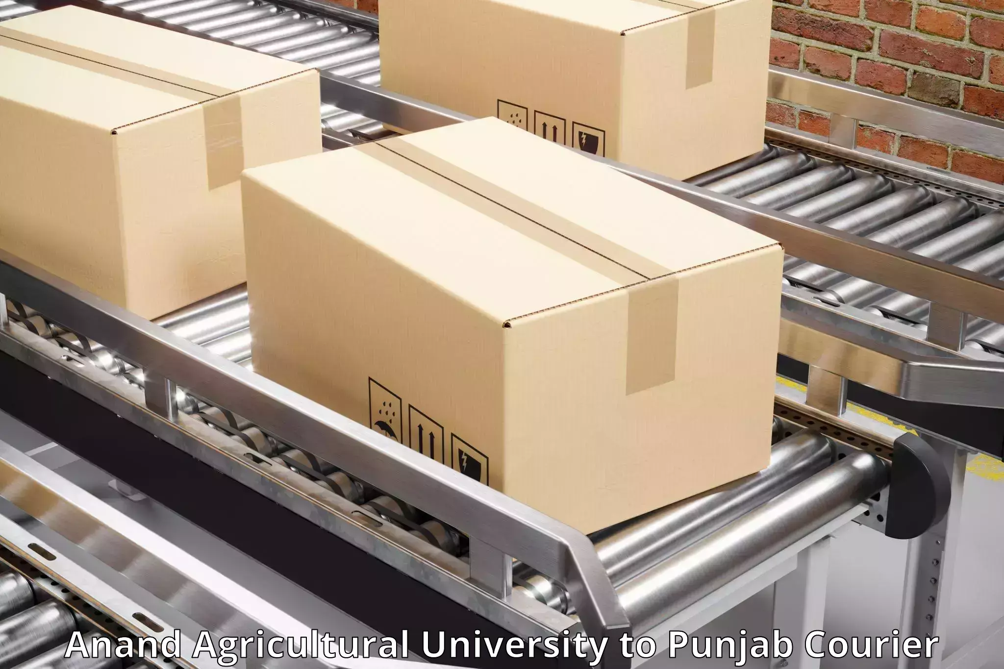 Reliable parcel services Anand Agricultural University to Central University of Punjab Bathinda