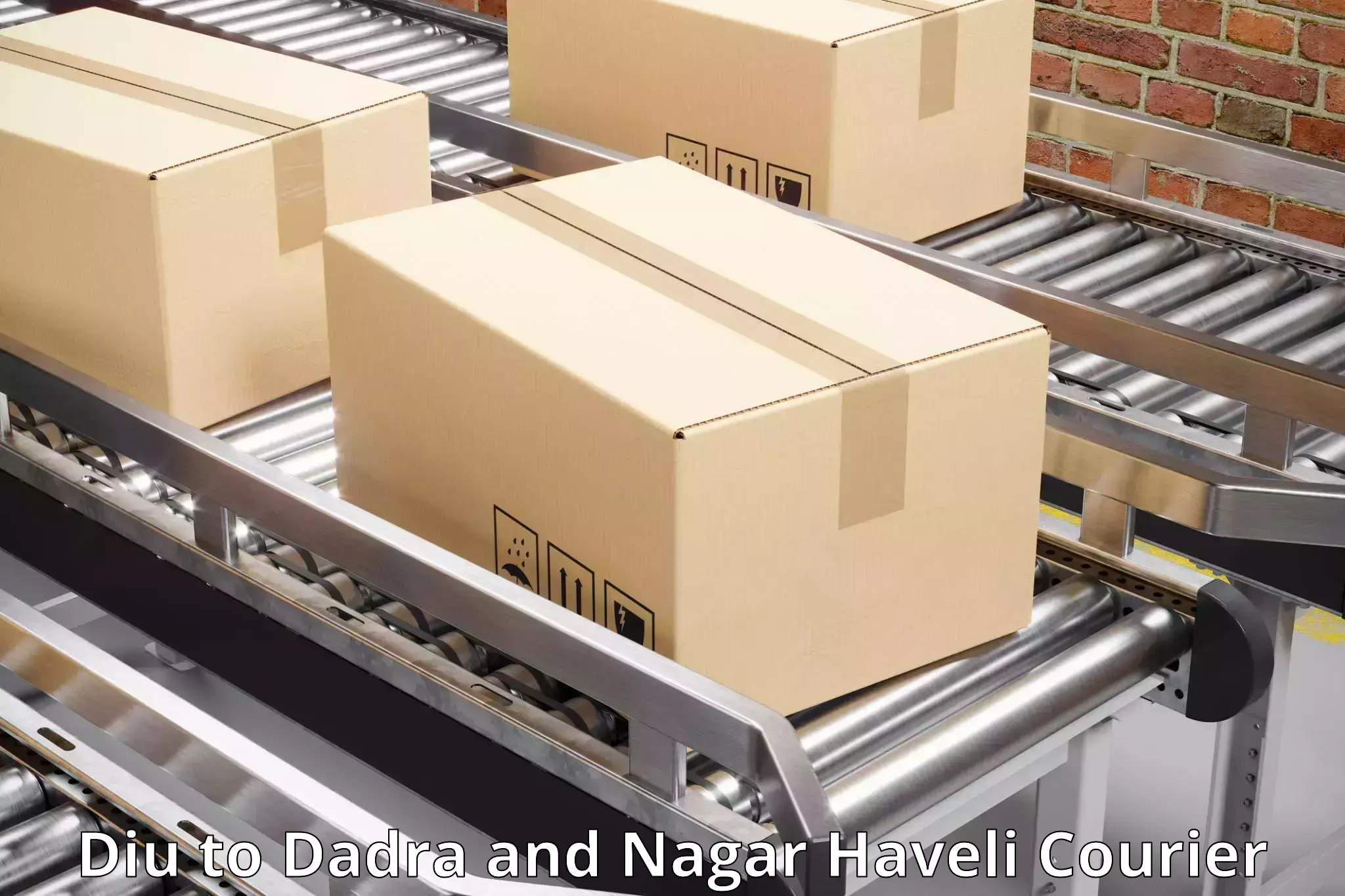 Overnight delivery services Diu to Dadra and Nagar Haveli