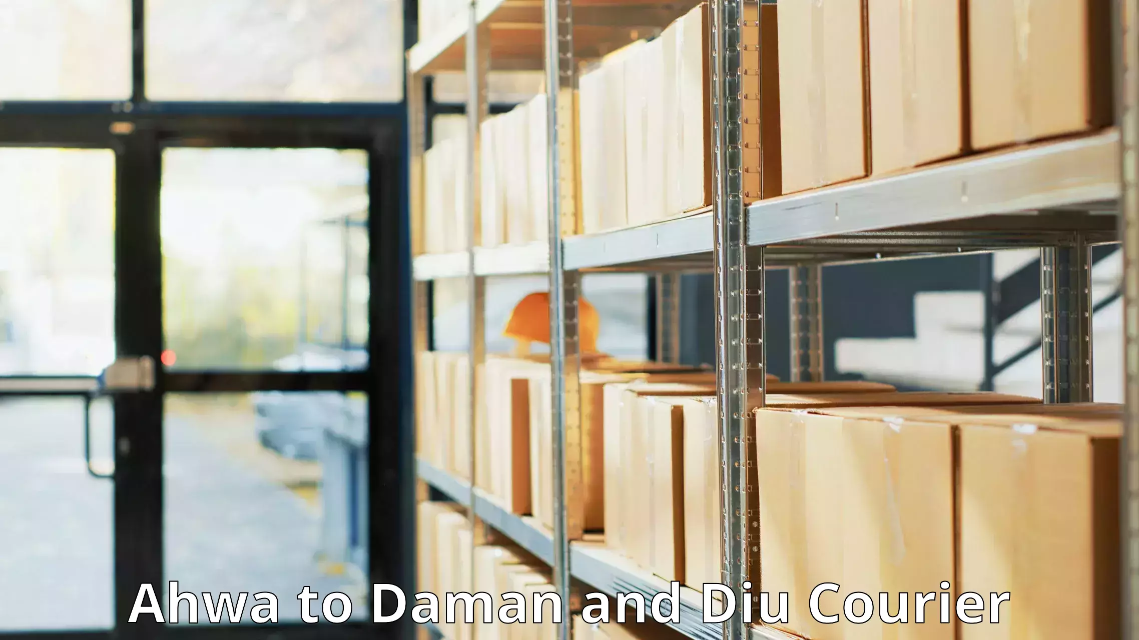 Parcel handling and care Ahwa to Daman and Diu