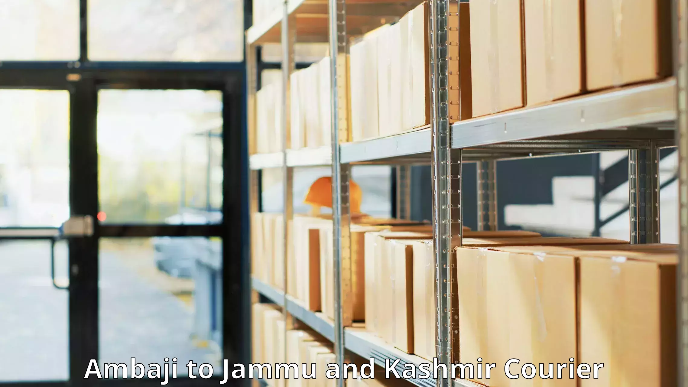 Custom courier strategies Ambaji to University of Kashmir Srinagar