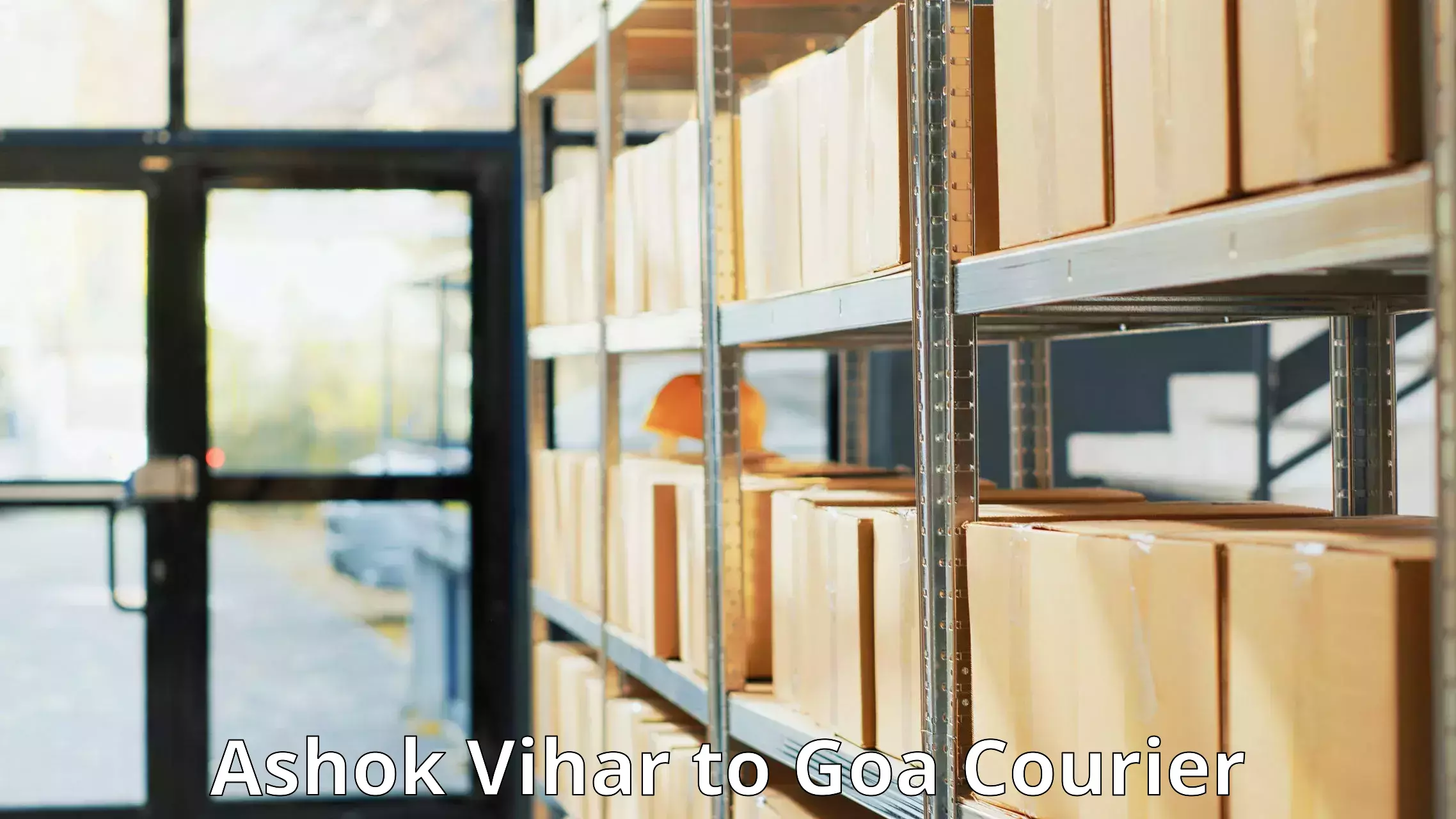Large package courier Ashok Vihar to Ponda