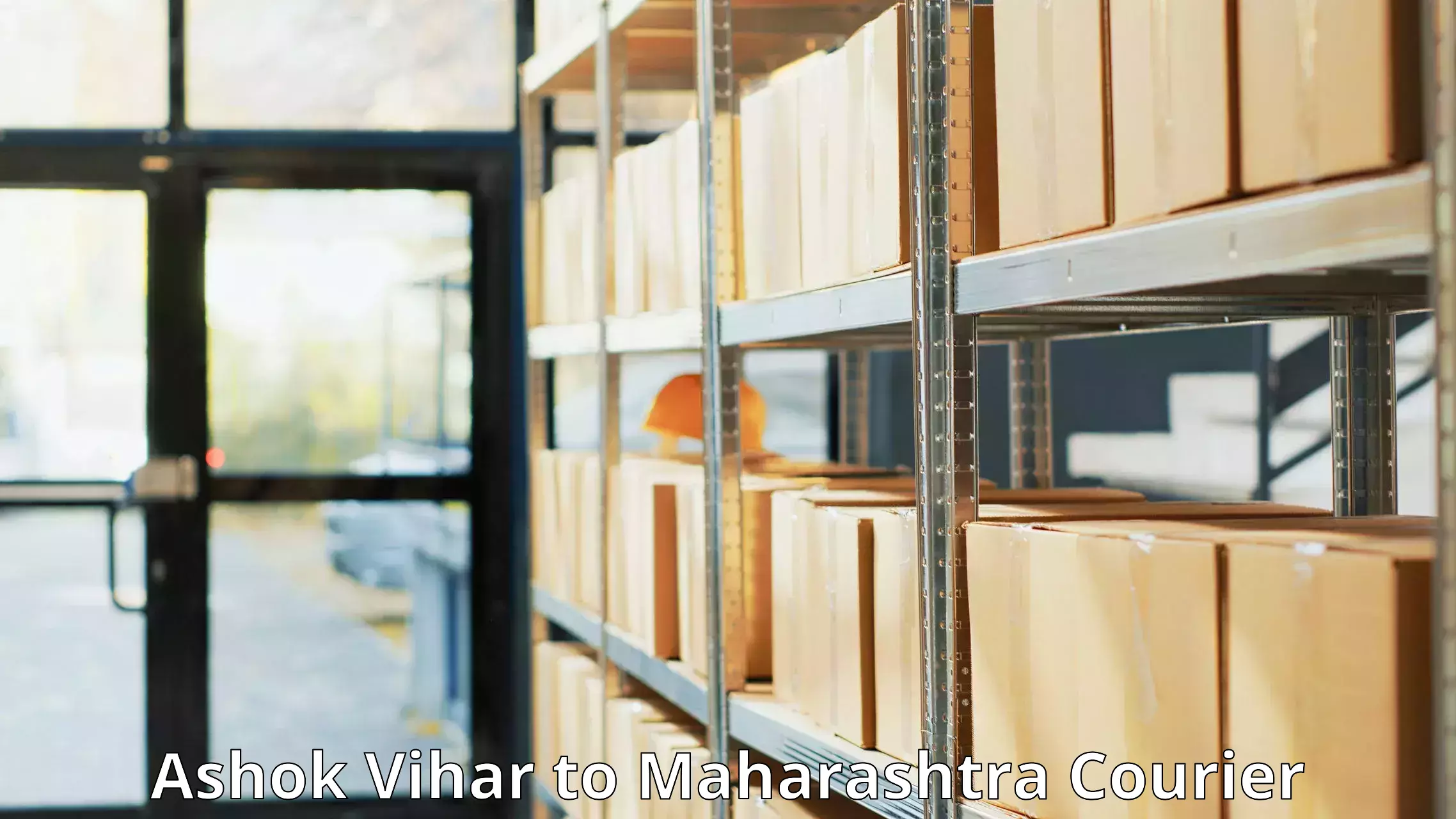 Large package courier Ashok Vihar to Raigarh Maharashtra