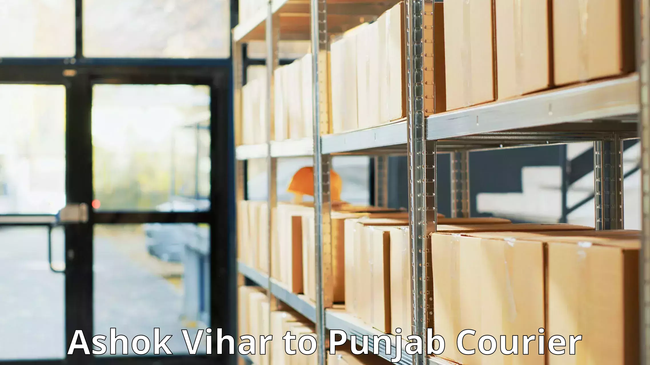 Large package courier Ashok Vihar to Kapurthala