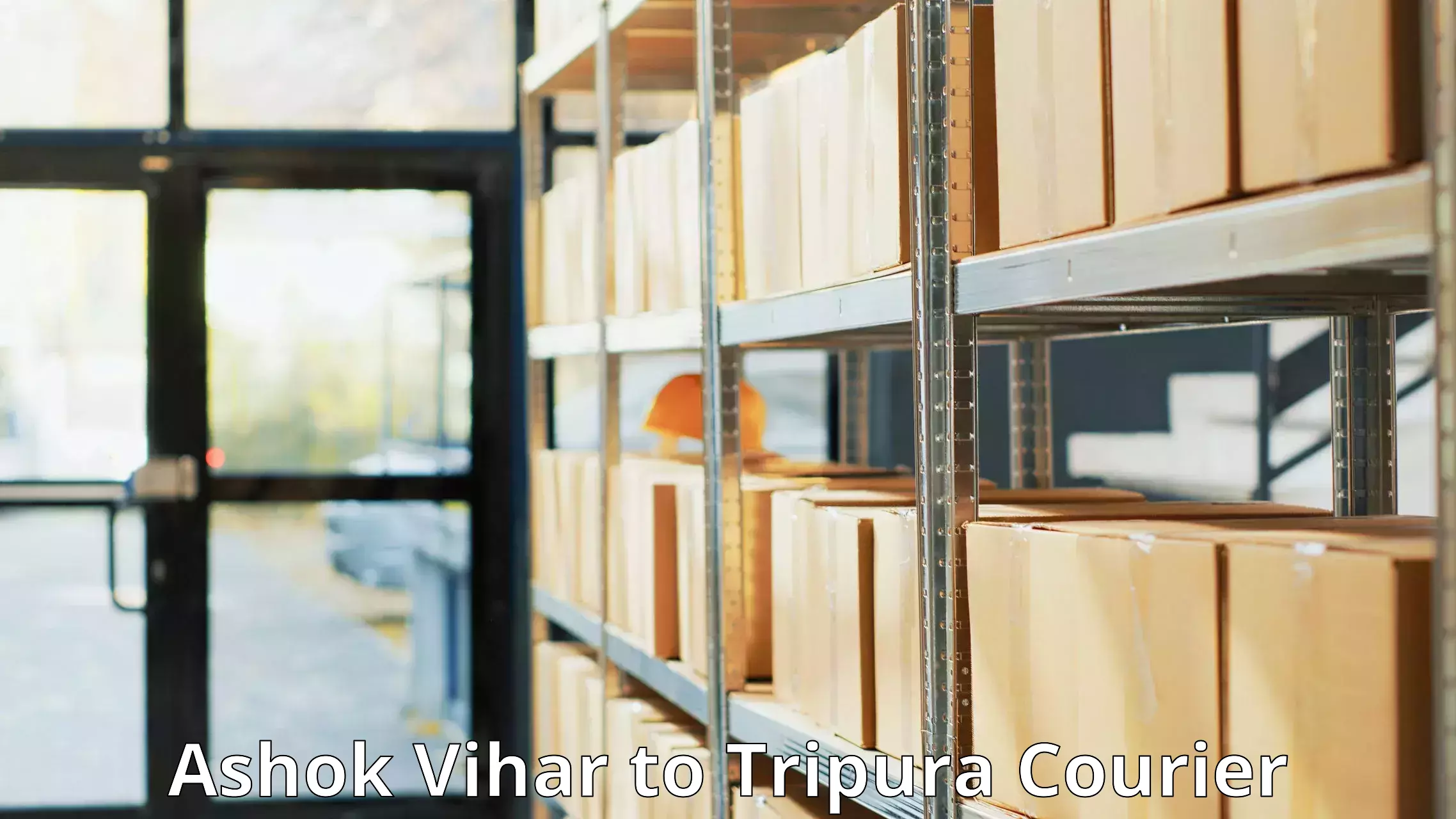 Optimized delivery routes Ashok Vihar to Tripura