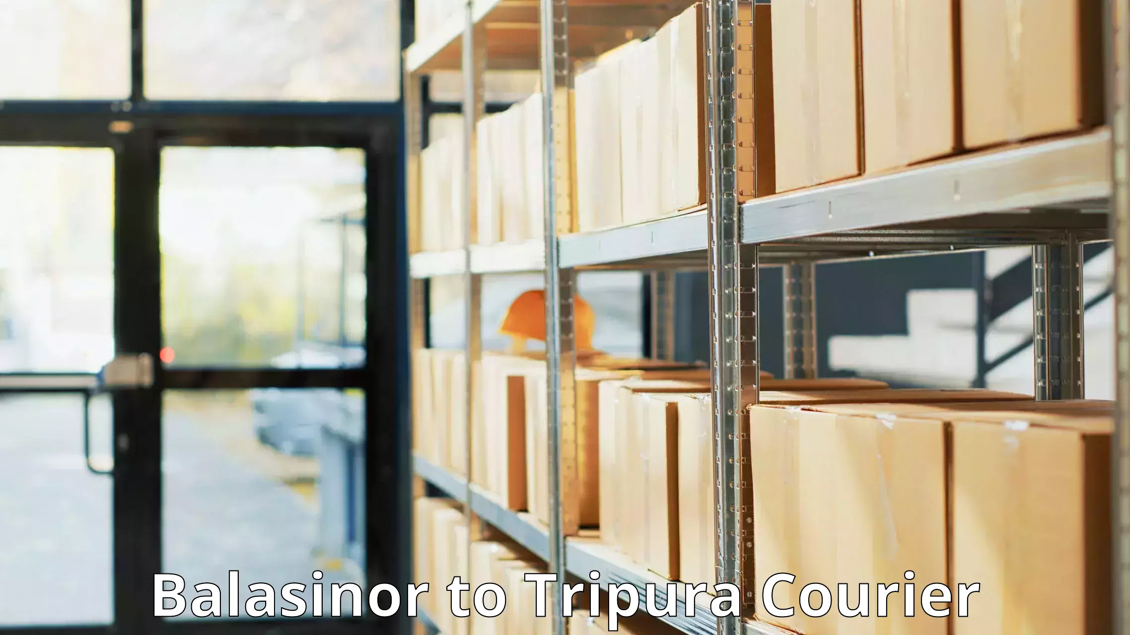 Local courier options Balasinor to Udaipur Tripura