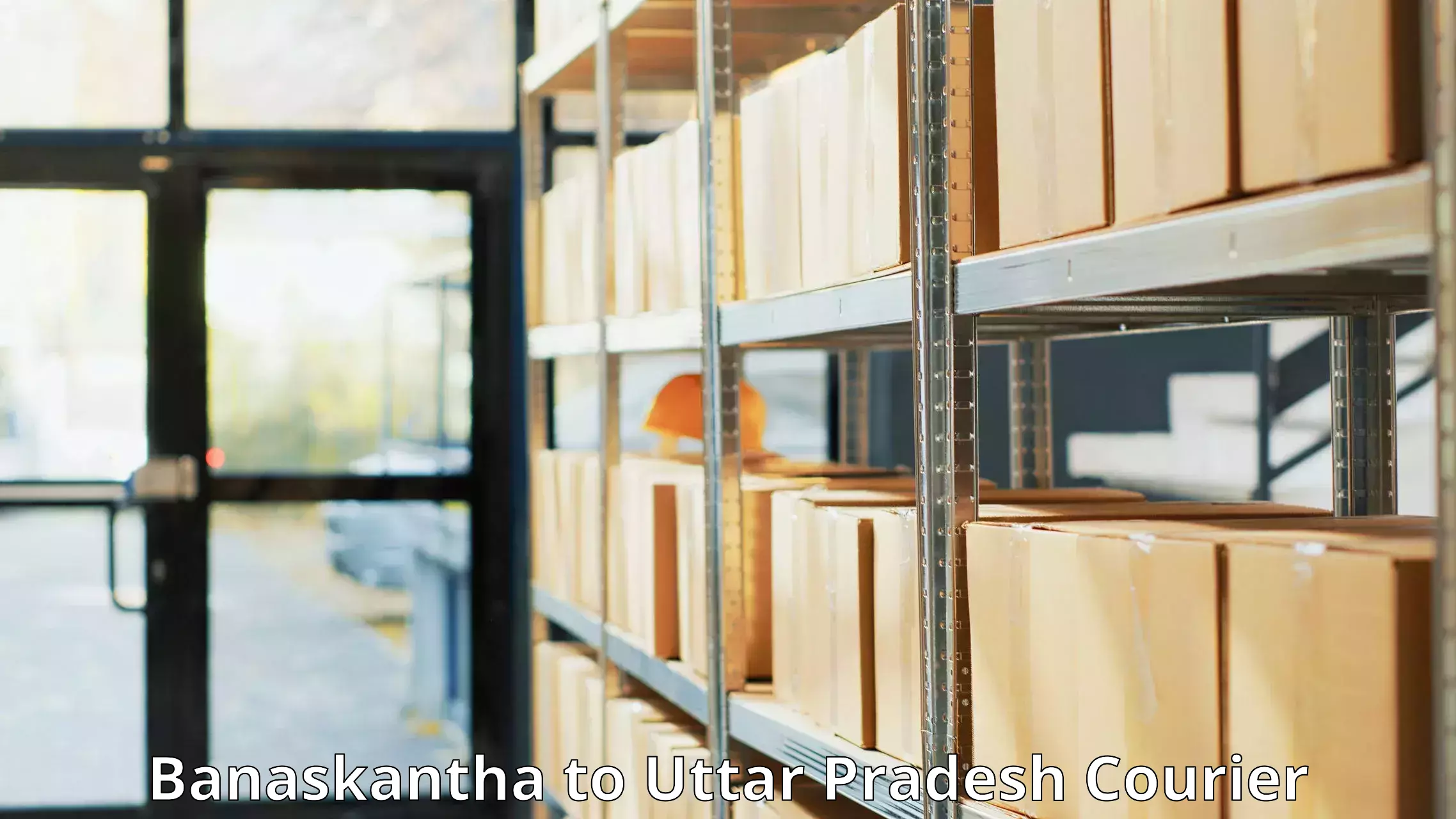Cost-effective courier options Banaskantha to Ikauna