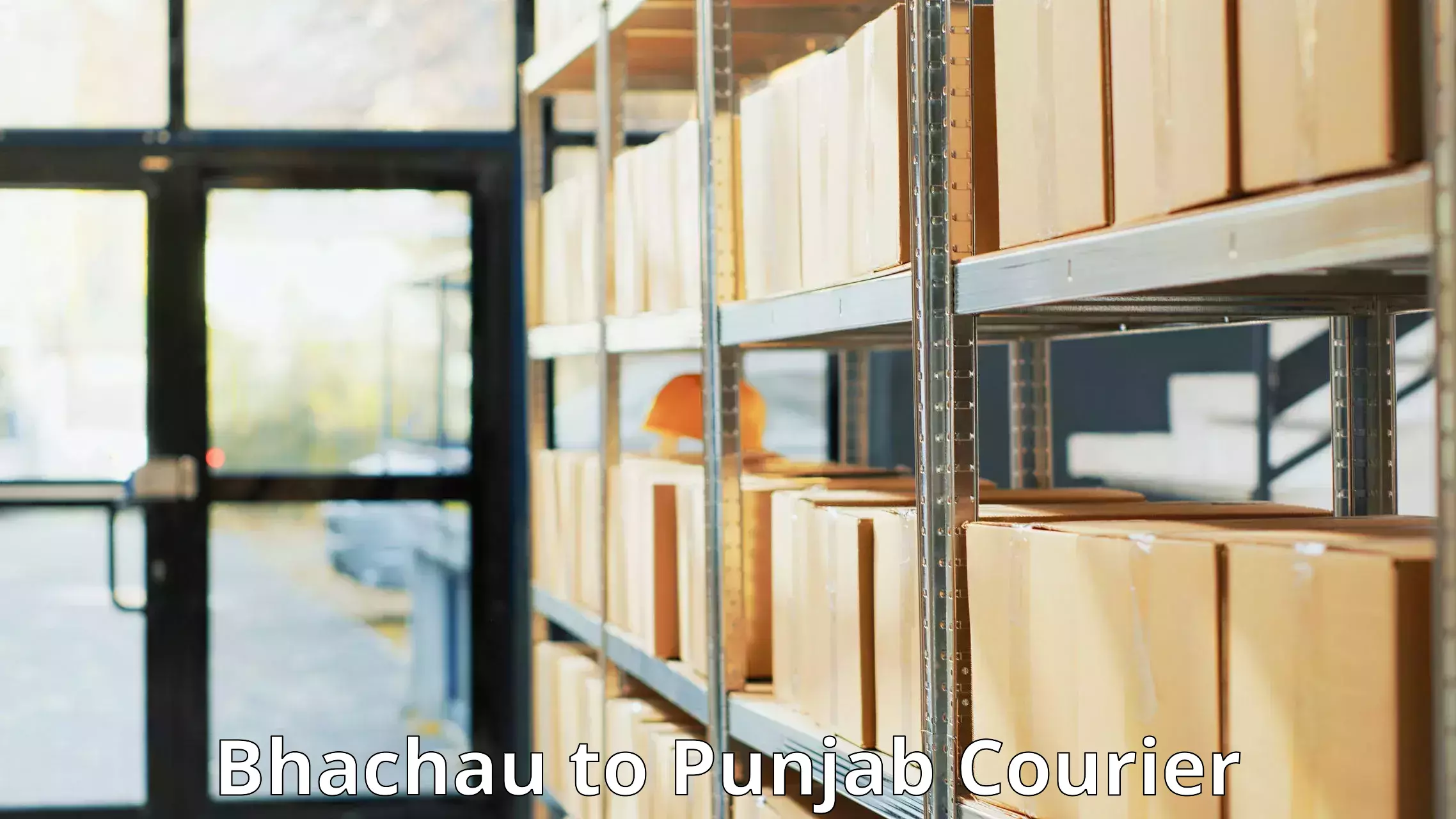 International courier rates Bhachau to Nangal