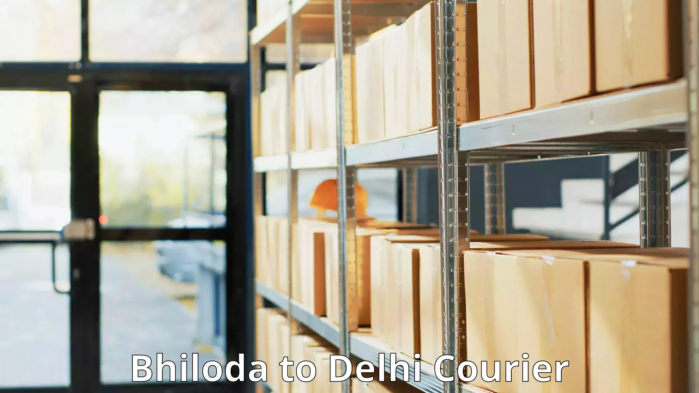 Multi-service courier options Bhiloda to Indraprastha