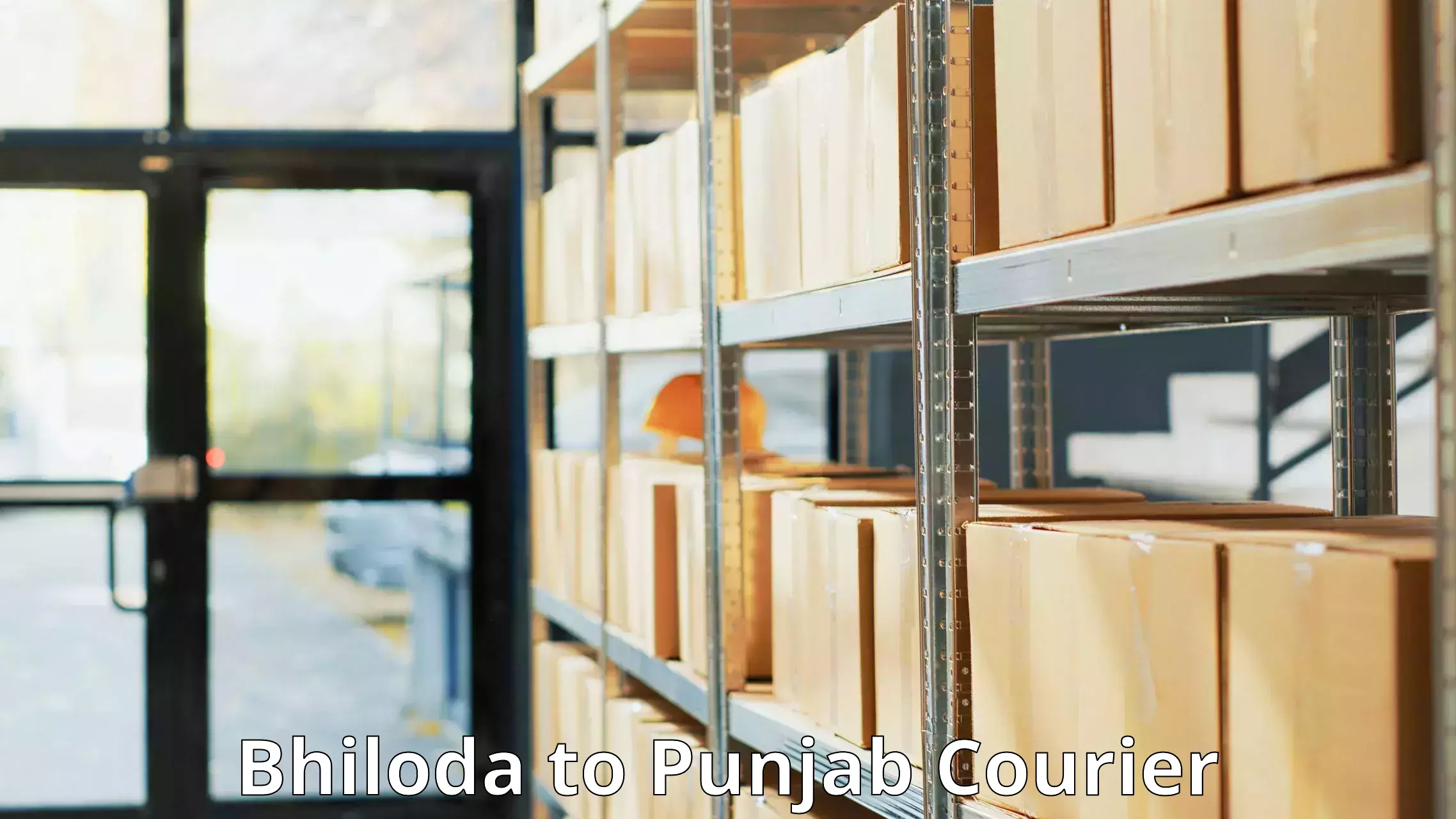 Custom courier solutions Bhiloda to Jhunir