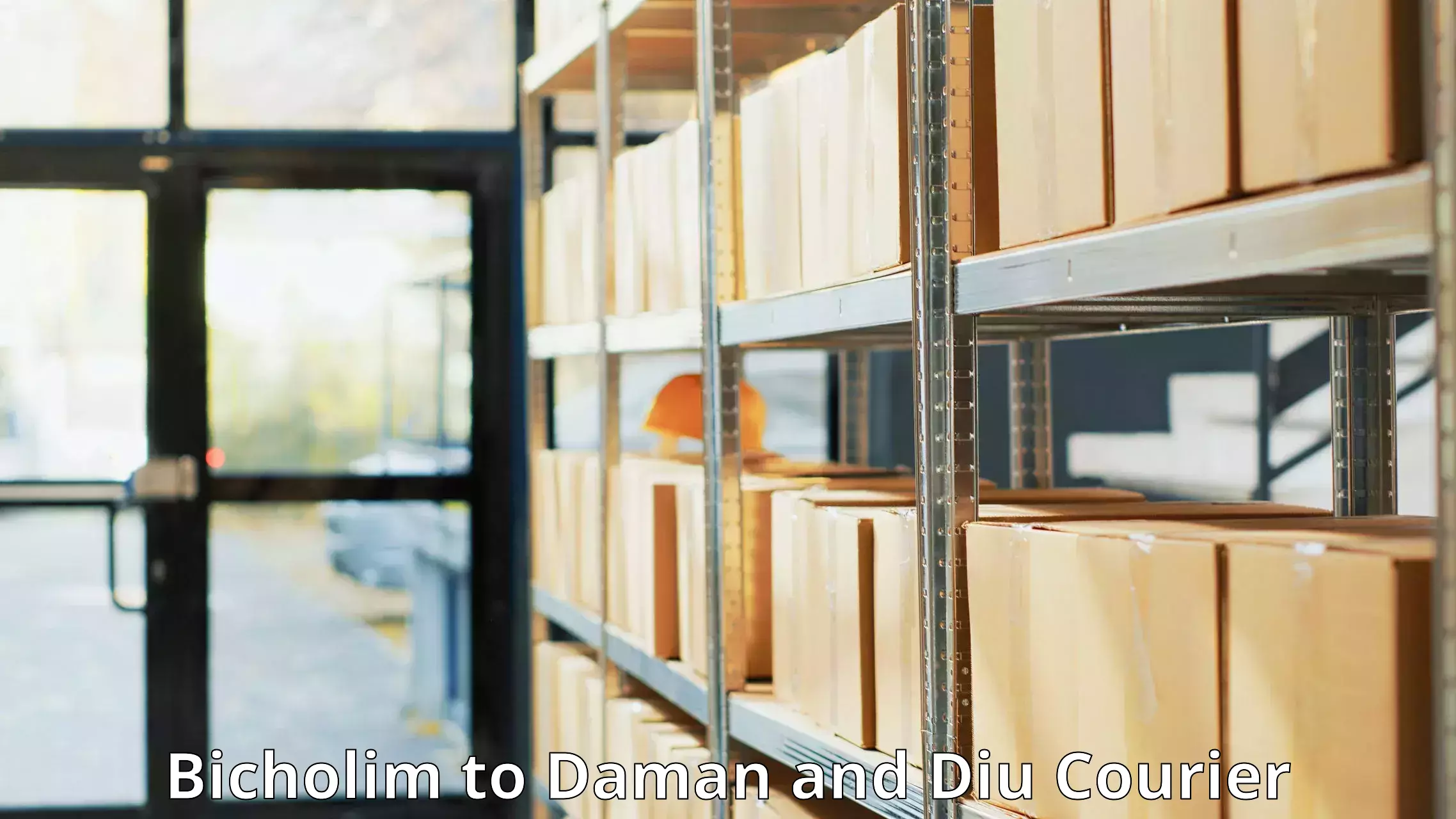 Wholesale parcel delivery in Bicholim to Daman and Diu