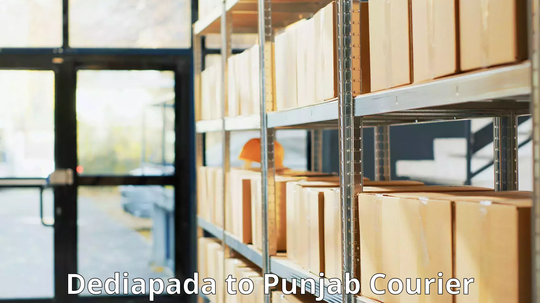 Customer-oriented courier services Dediapada to Central University of Punjab Bathinda