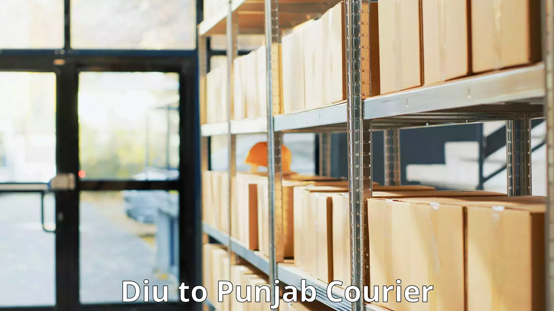 24-hour courier service Diu to Punjab Agricultural University Ludhiana