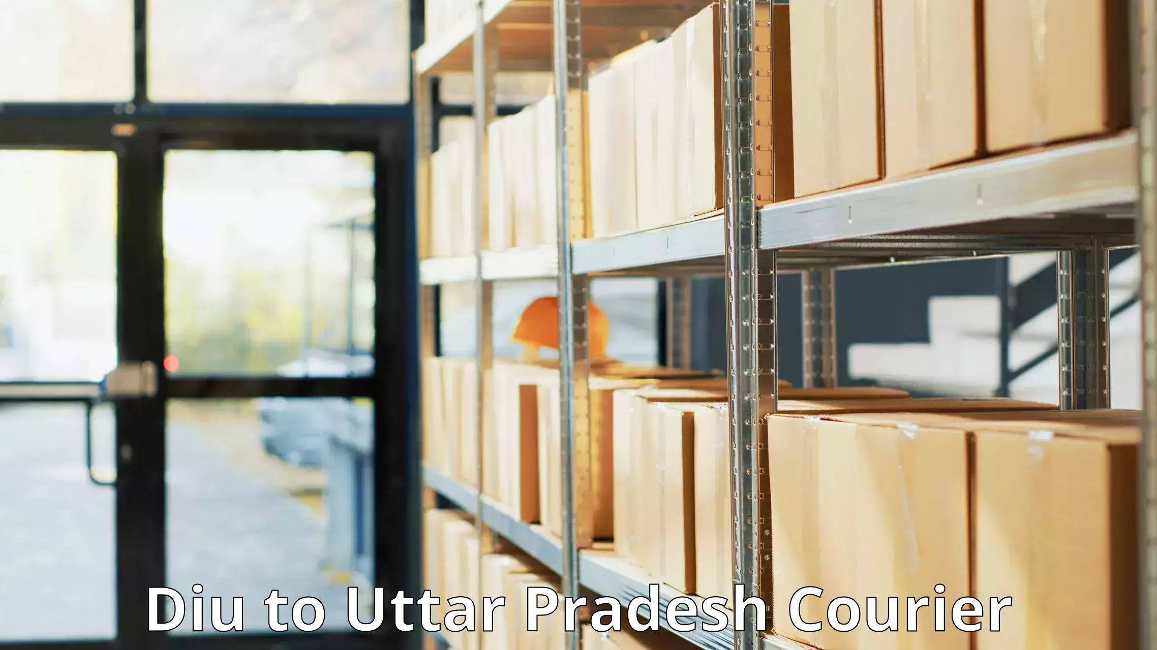Efficient parcel delivery in Diu to Talbahat