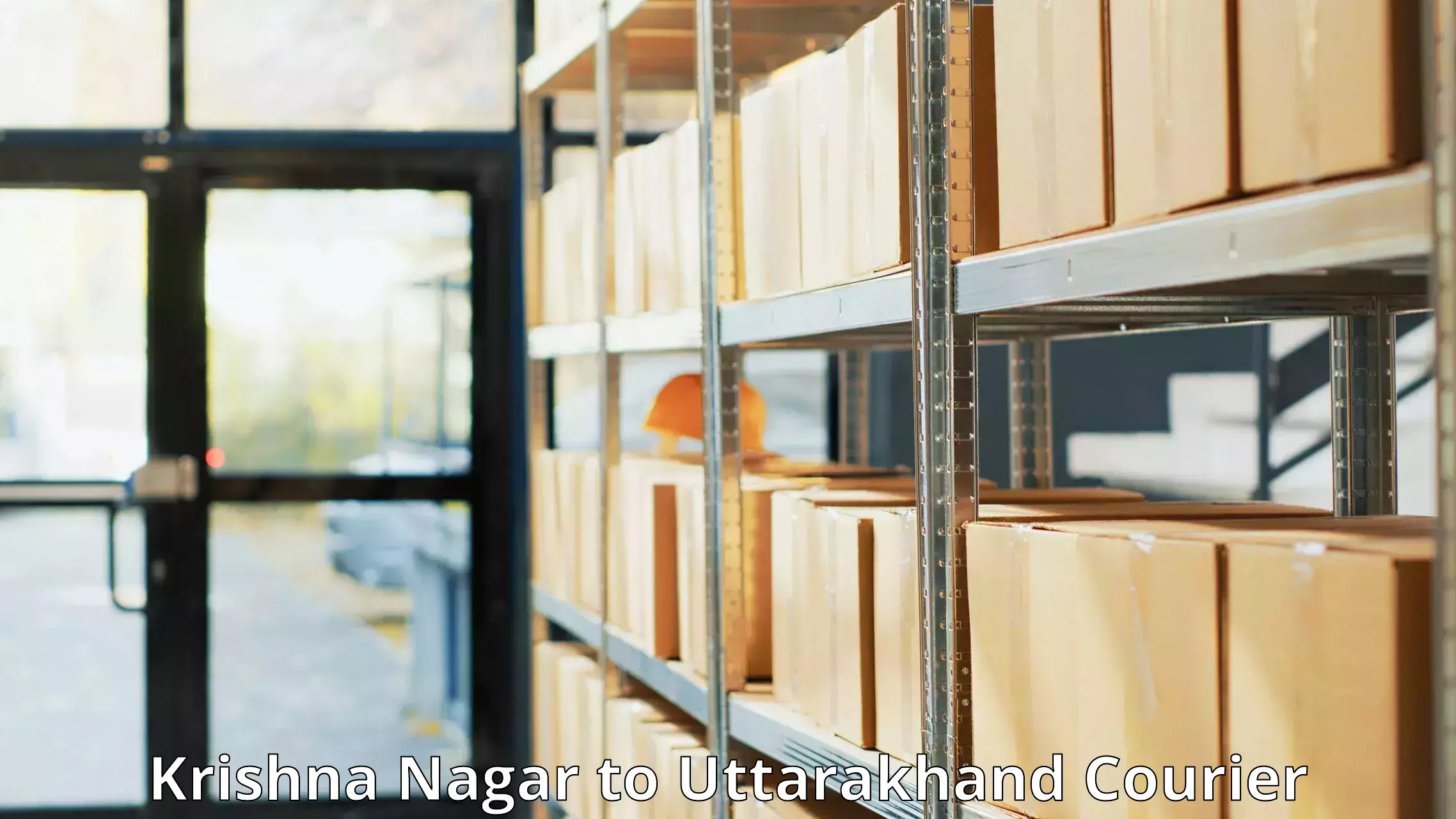 Global logistics network Krishna Nagar to Didihat