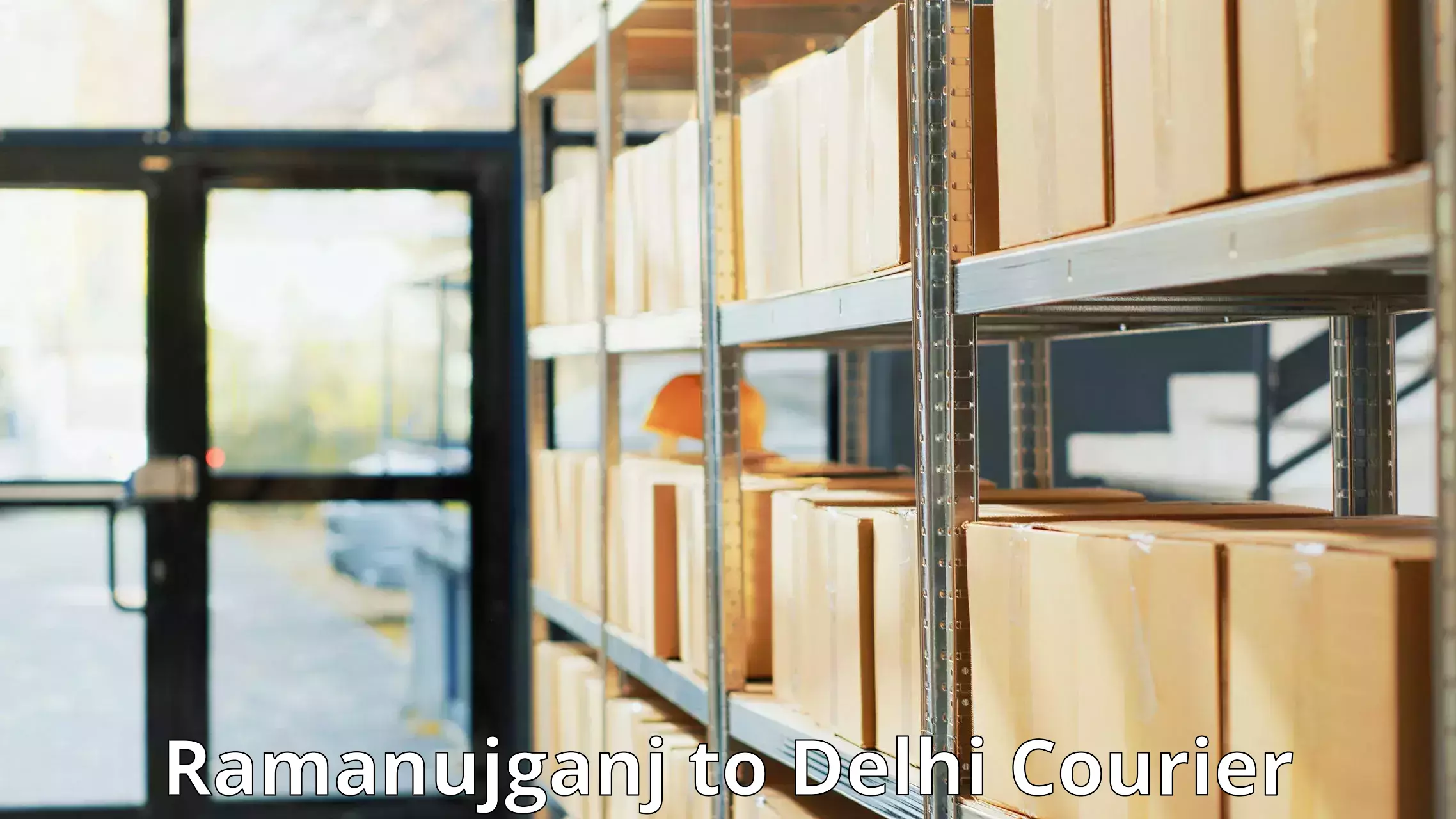 Sustainable courier practices Ramanujganj to Delhi Technological University DTU