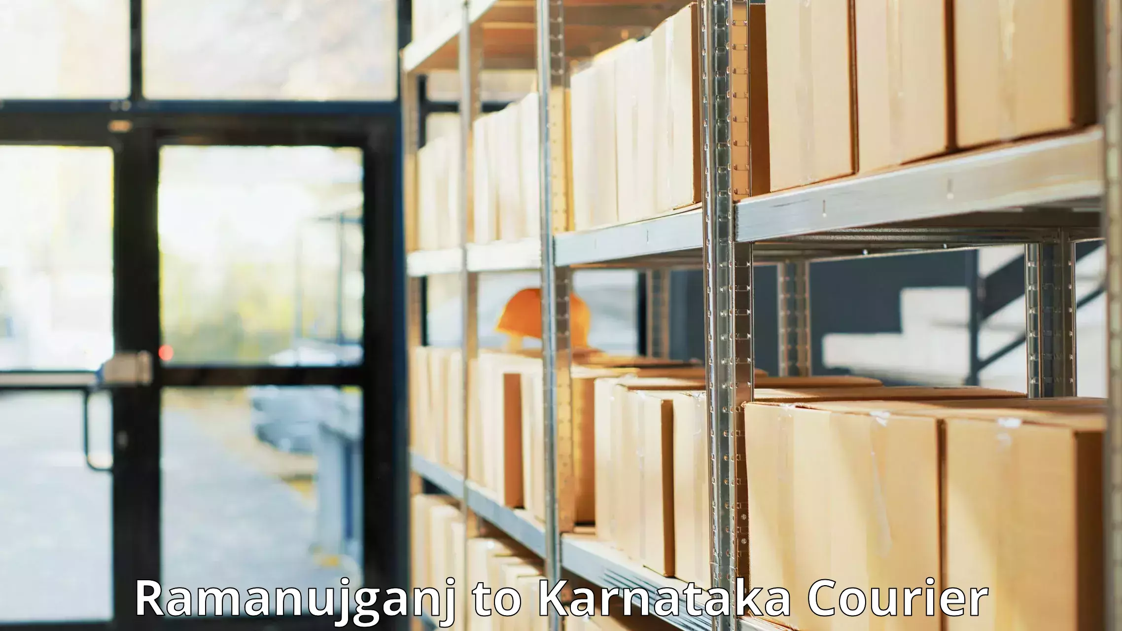 High-speed parcel service in Ramanujganj to Karnataka