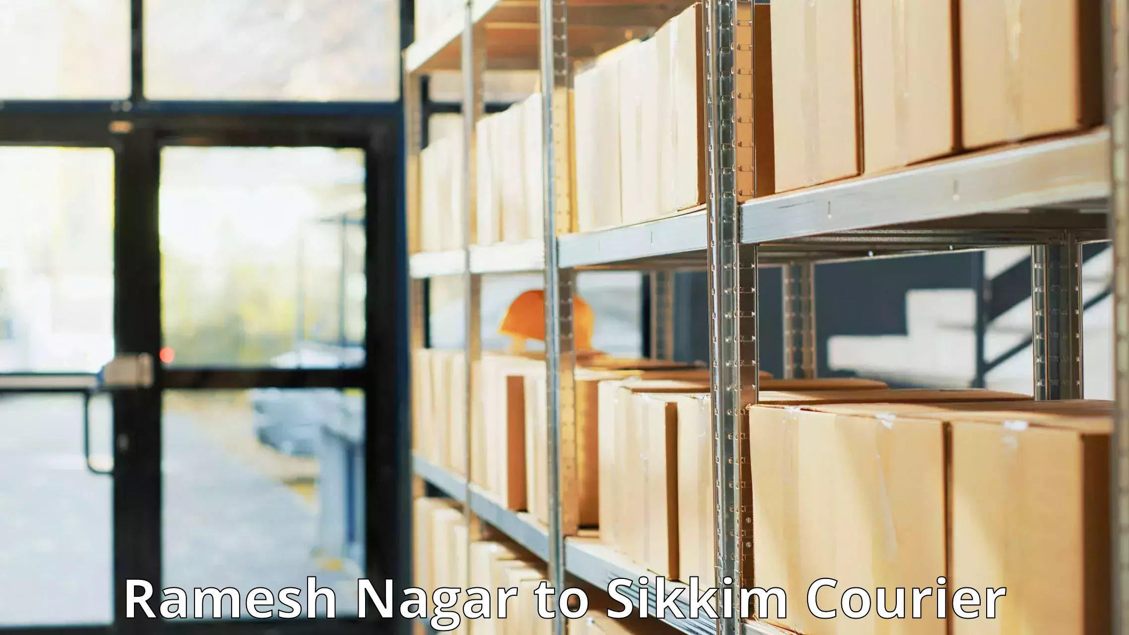 Flexible courier rates Ramesh Nagar to East Sikkim