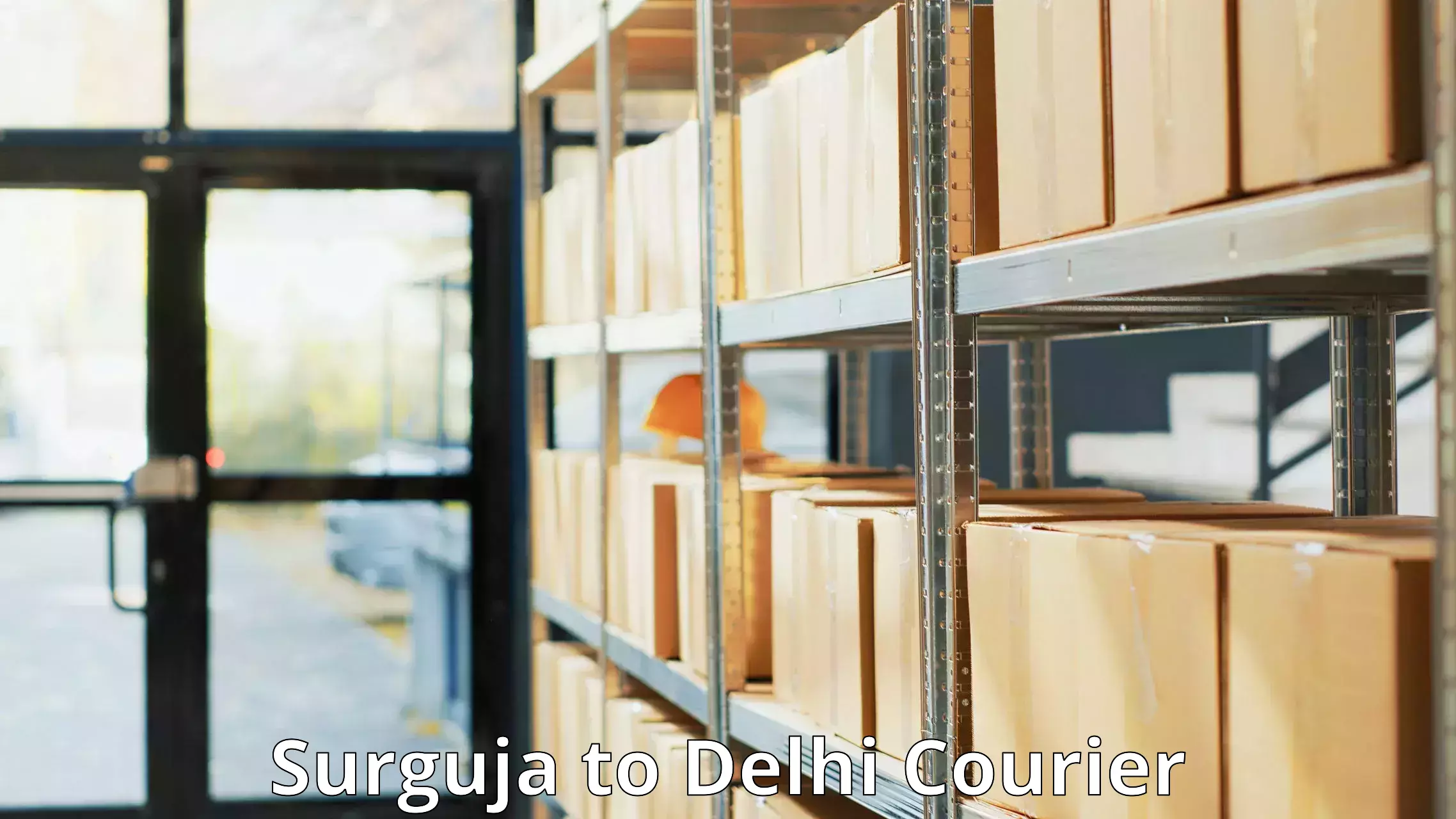 Courier membership in Surguja to Sarojini Nagar