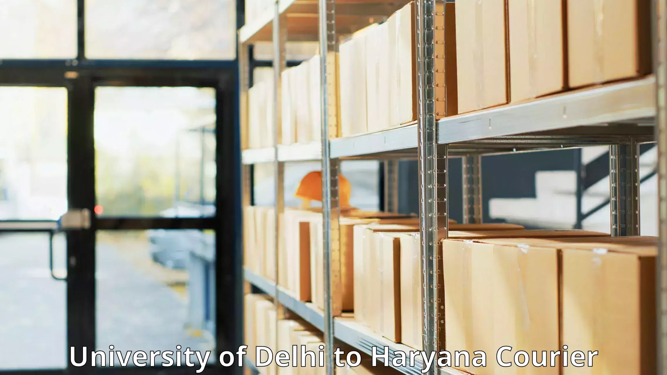 Professional courier handling University of Delhi to Sonipat