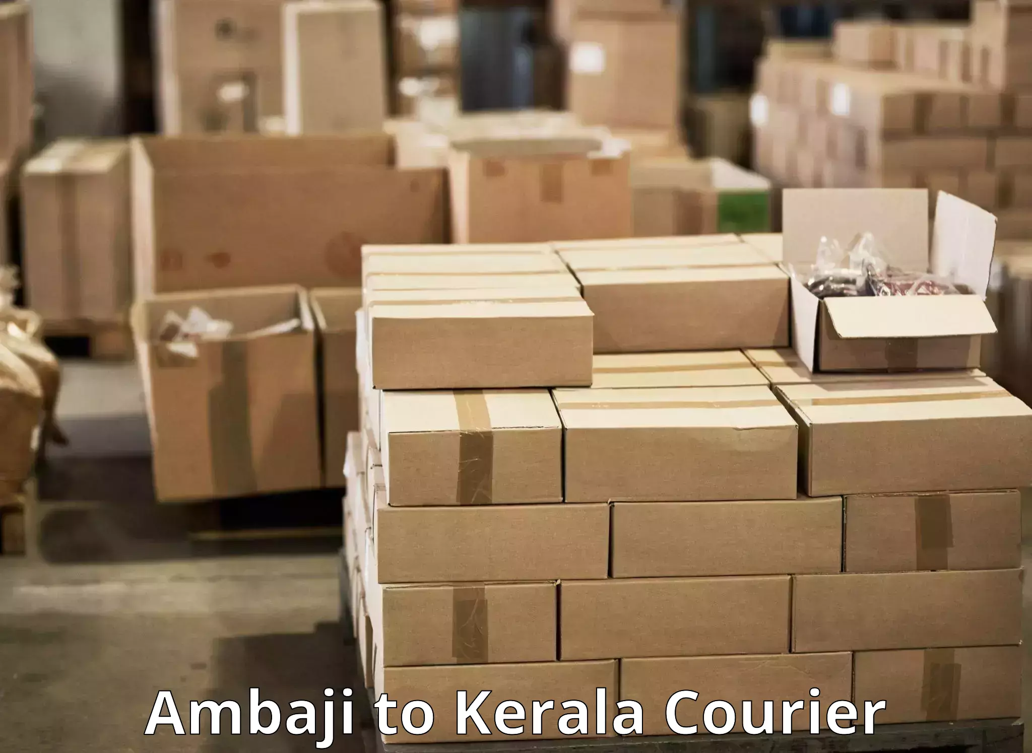 Flexible parcel services in Ambaji to Adoor