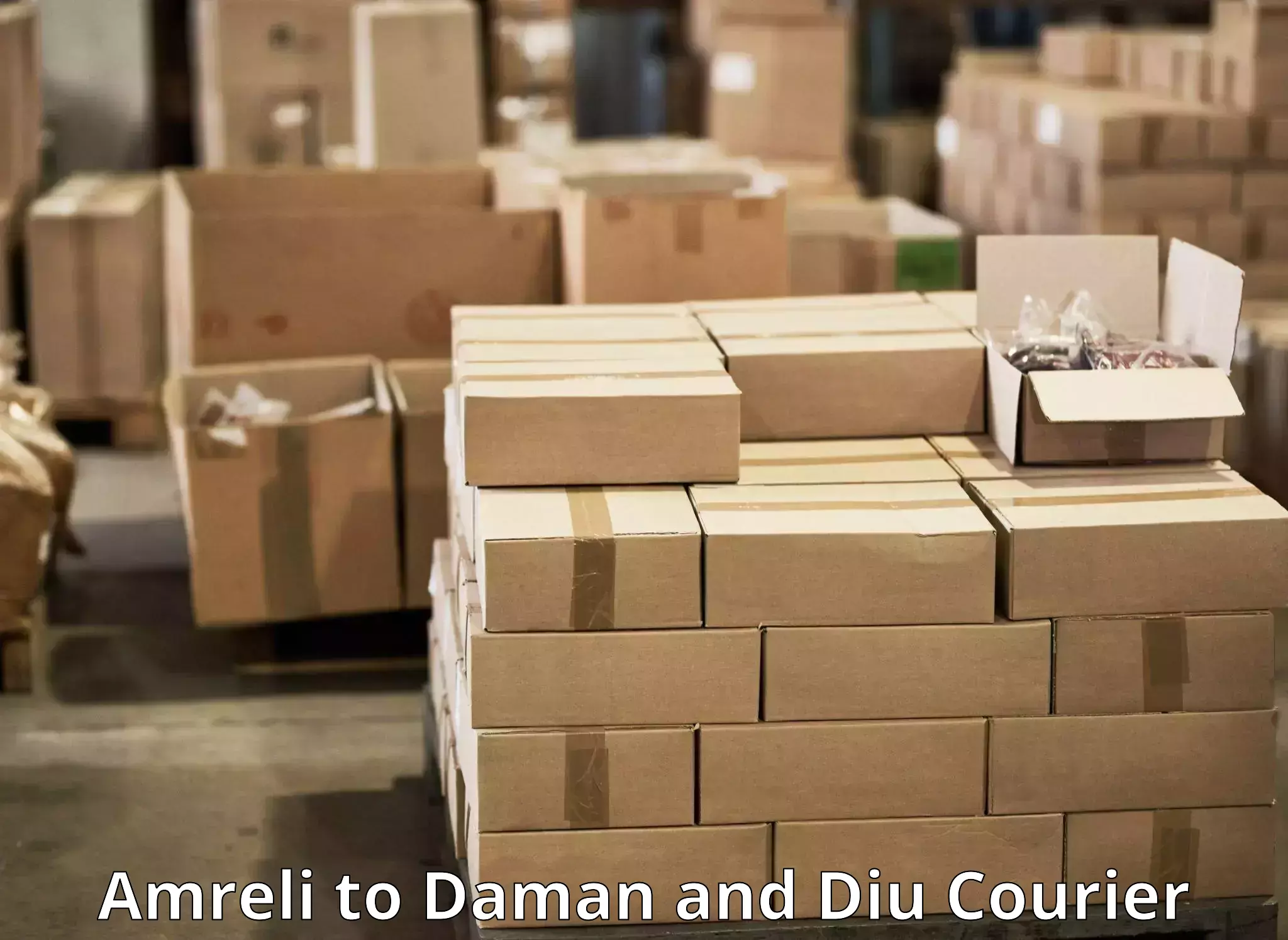 Advanced shipping services Amreli to Daman and Diu