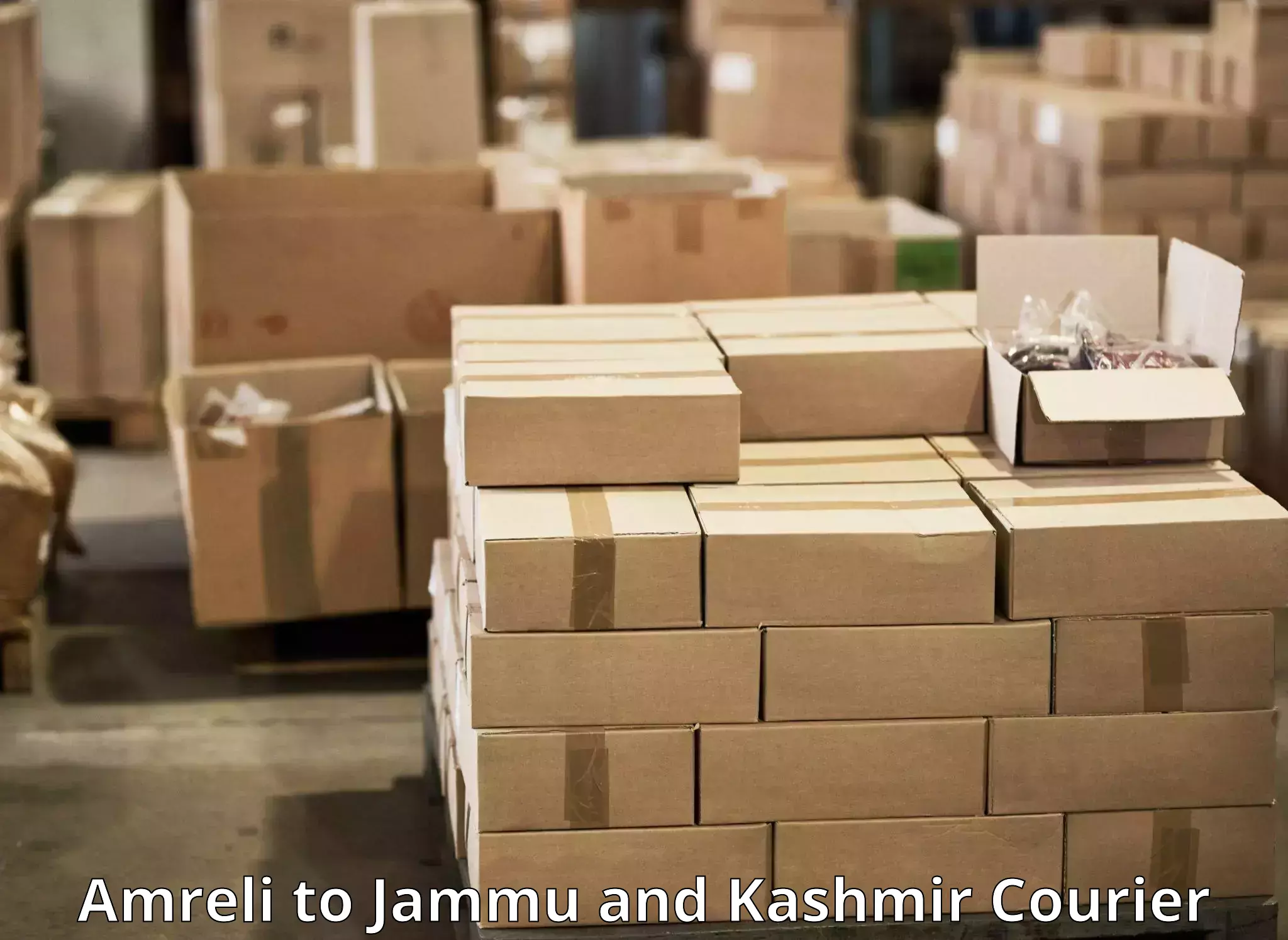 Comprehensive delivery network Amreli to University of Kashmir Srinagar
