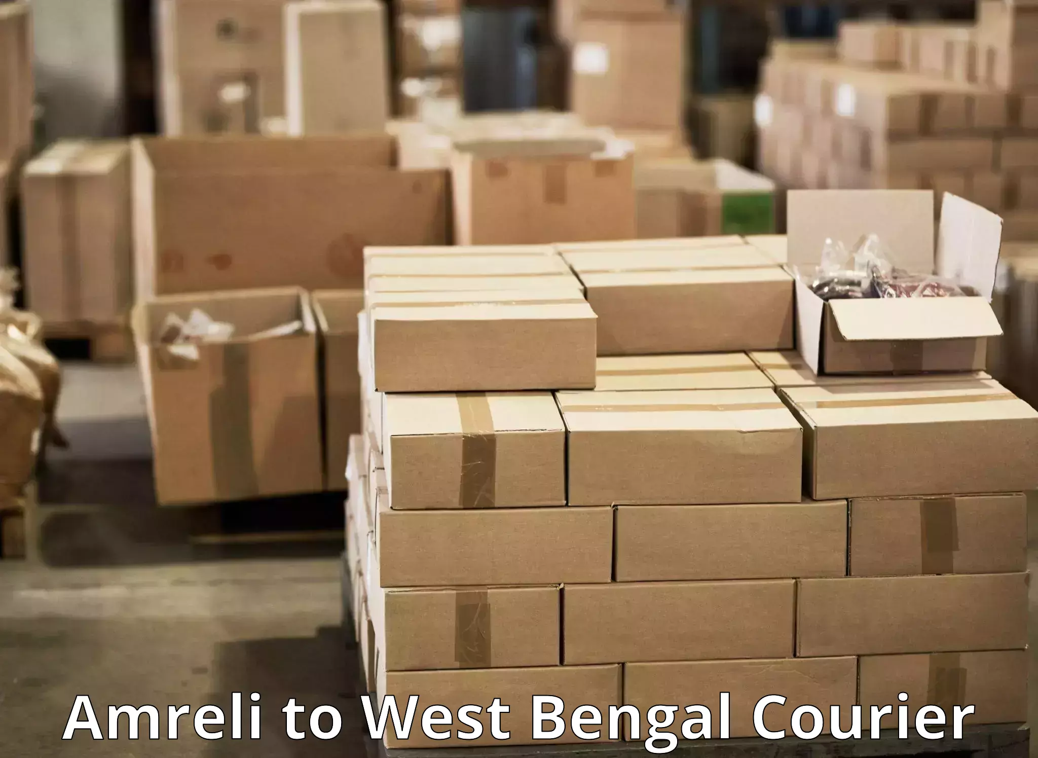 Wholesale parcel delivery Amreli to West Bengal