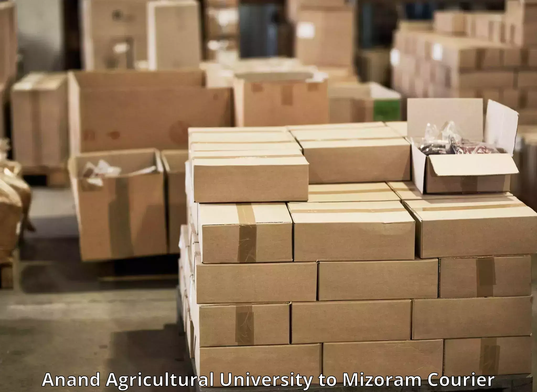 Wholesale parcel delivery Anand Agricultural University to Lawngtlai