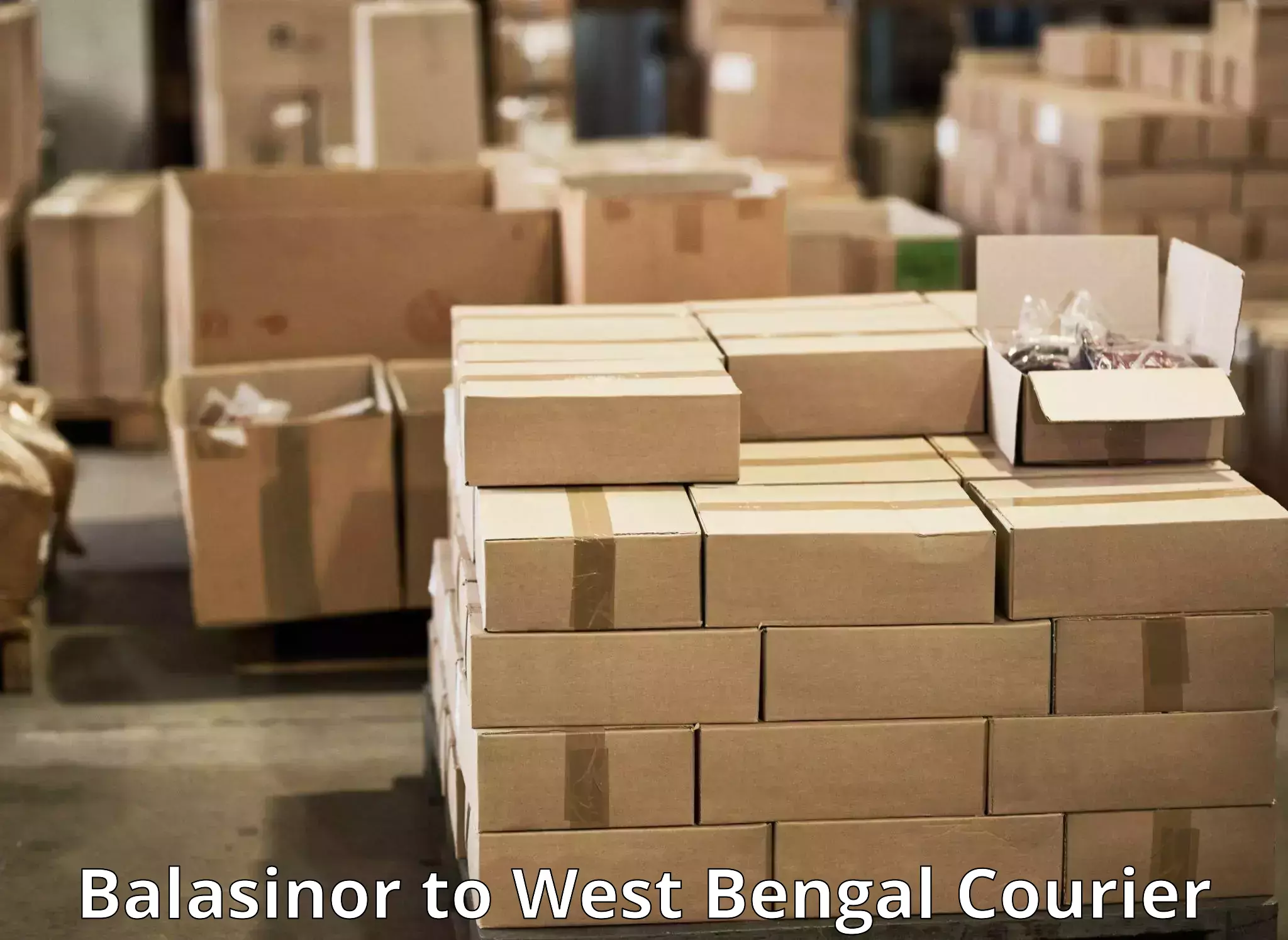 High-efficiency logistics in Balasinor to Baruipur
