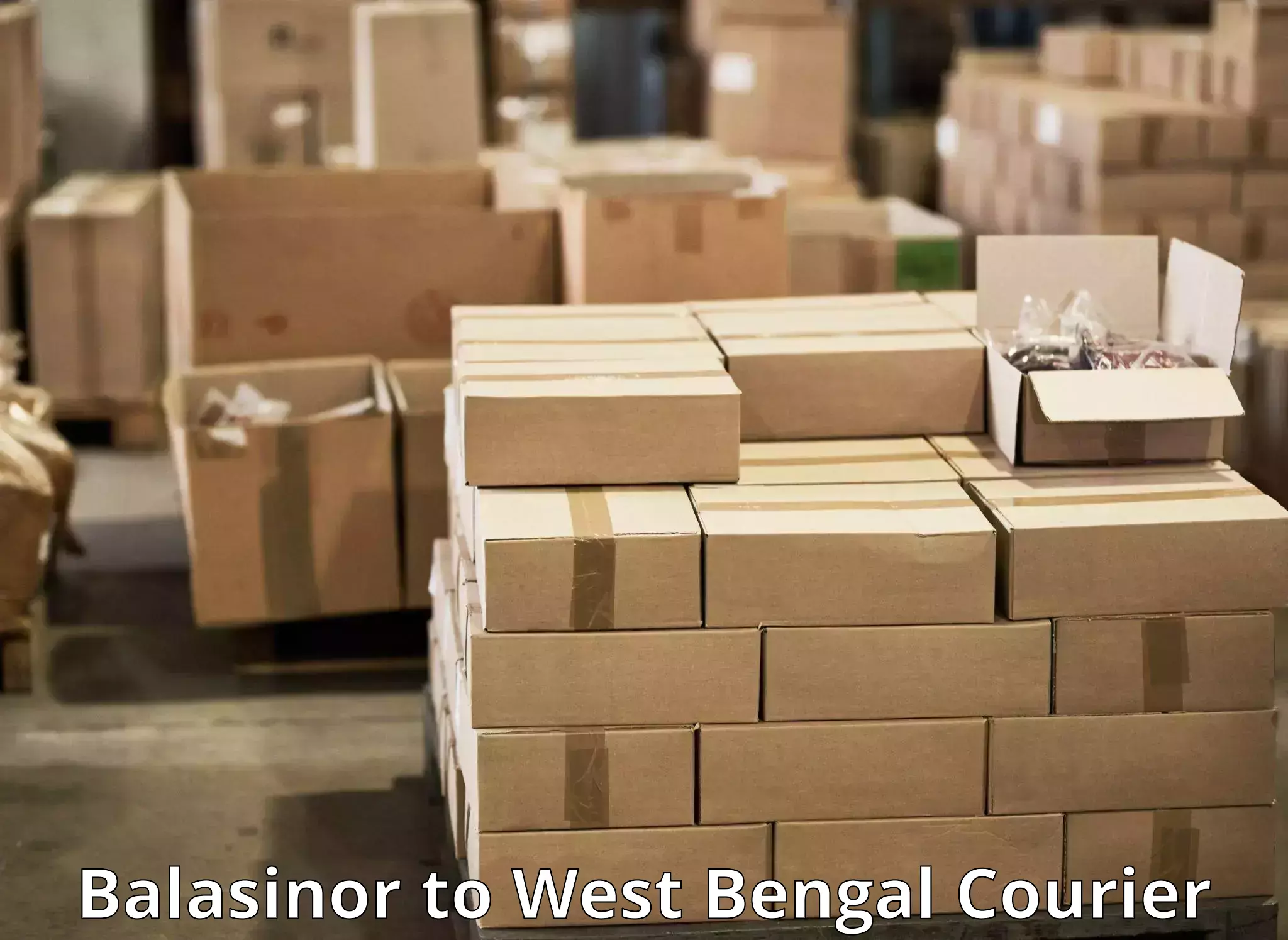 Quick parcel dispatch Balasinor to Visva Bharati Santiniketan