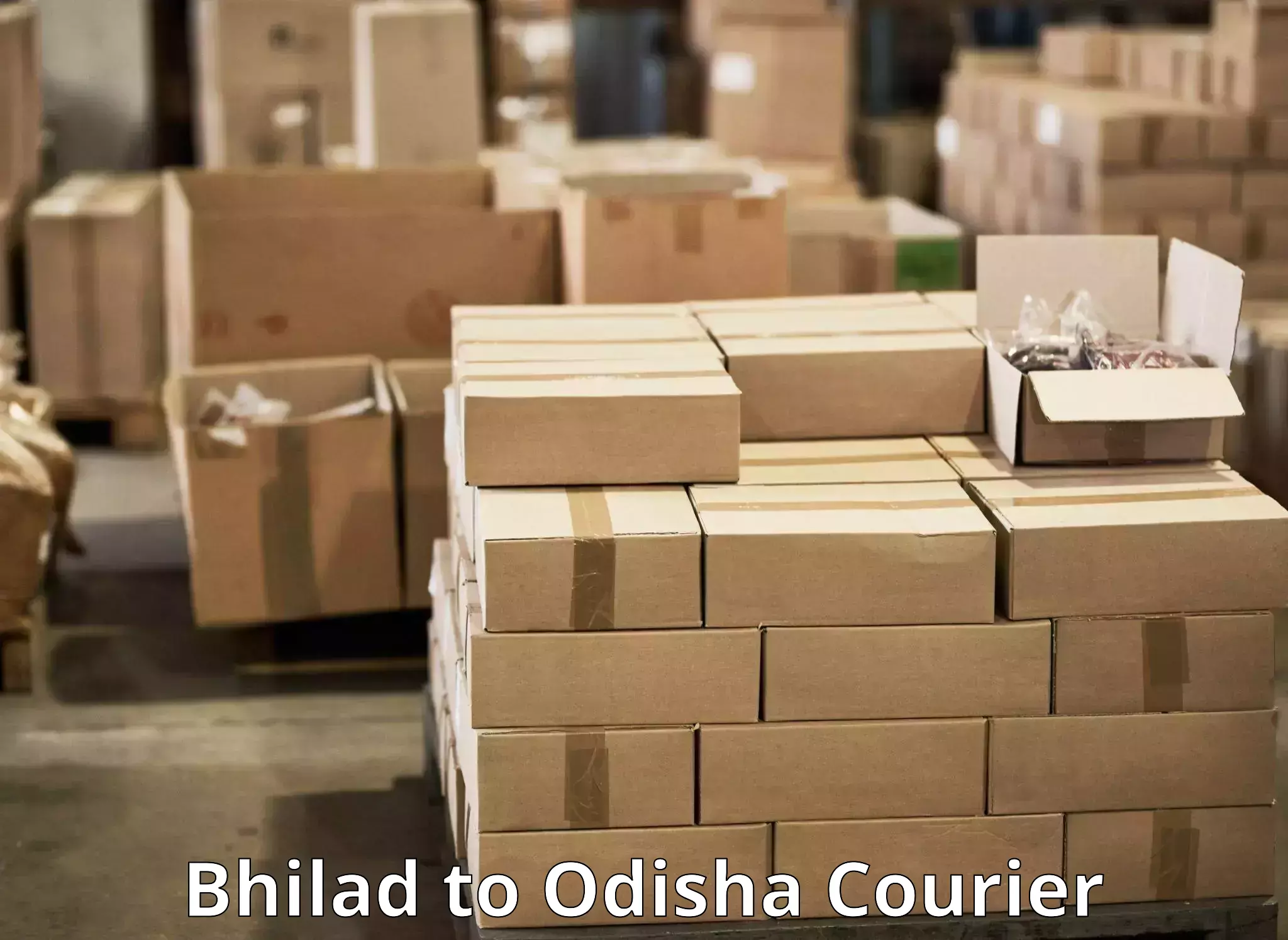 24-hour courier service in Bhilad to Rourkela