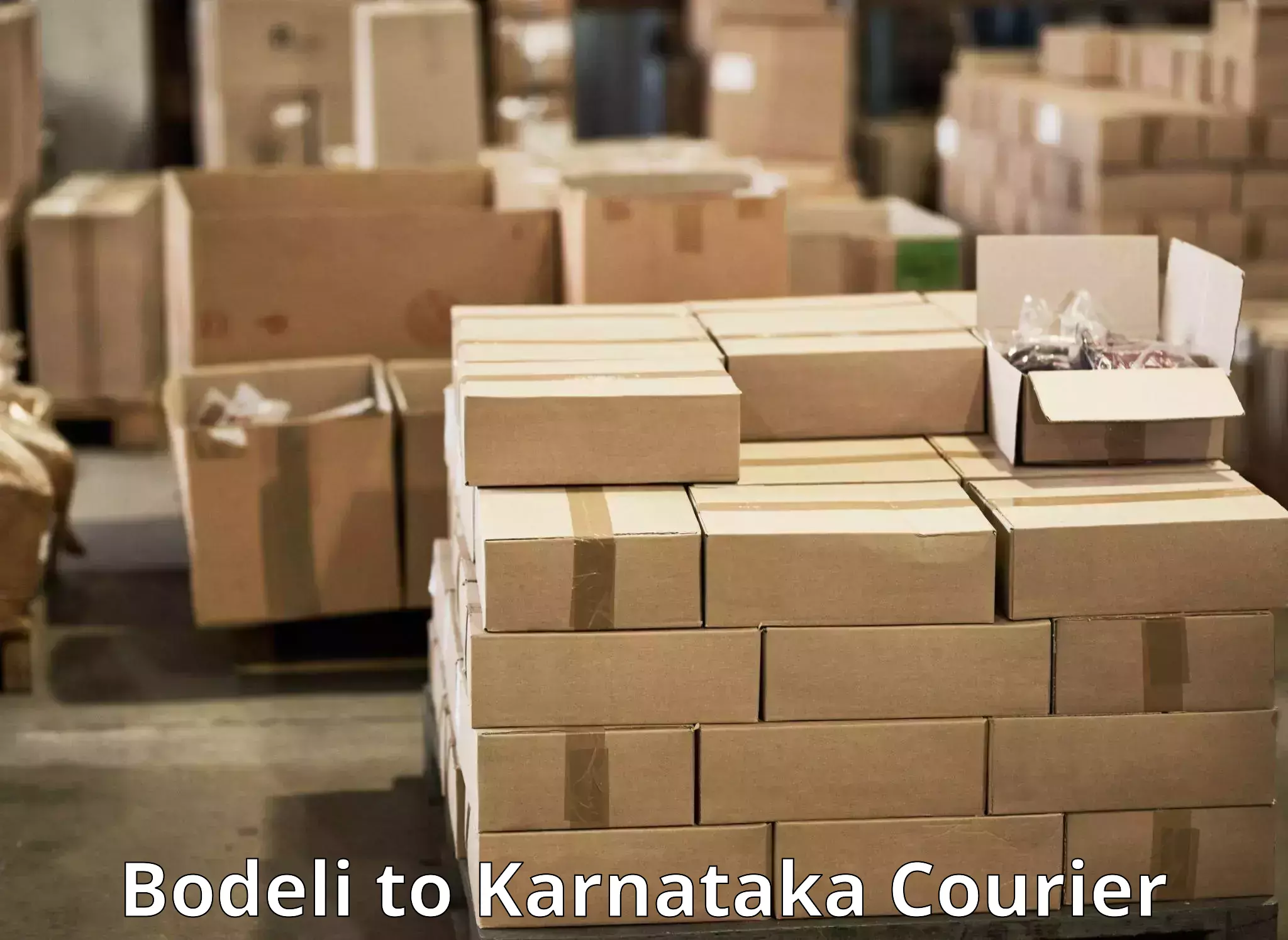 High-capacity parcel service Bodeli to Chittapur