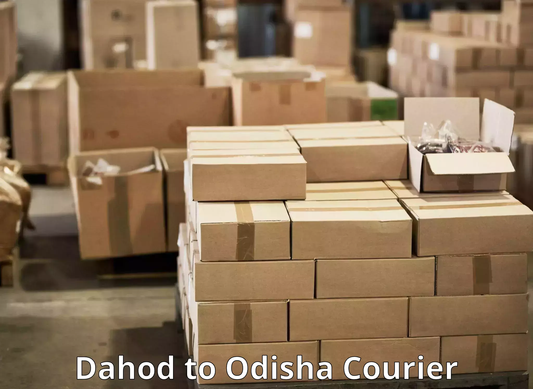 Custom logistics solutions Dahod to Thakurmunda