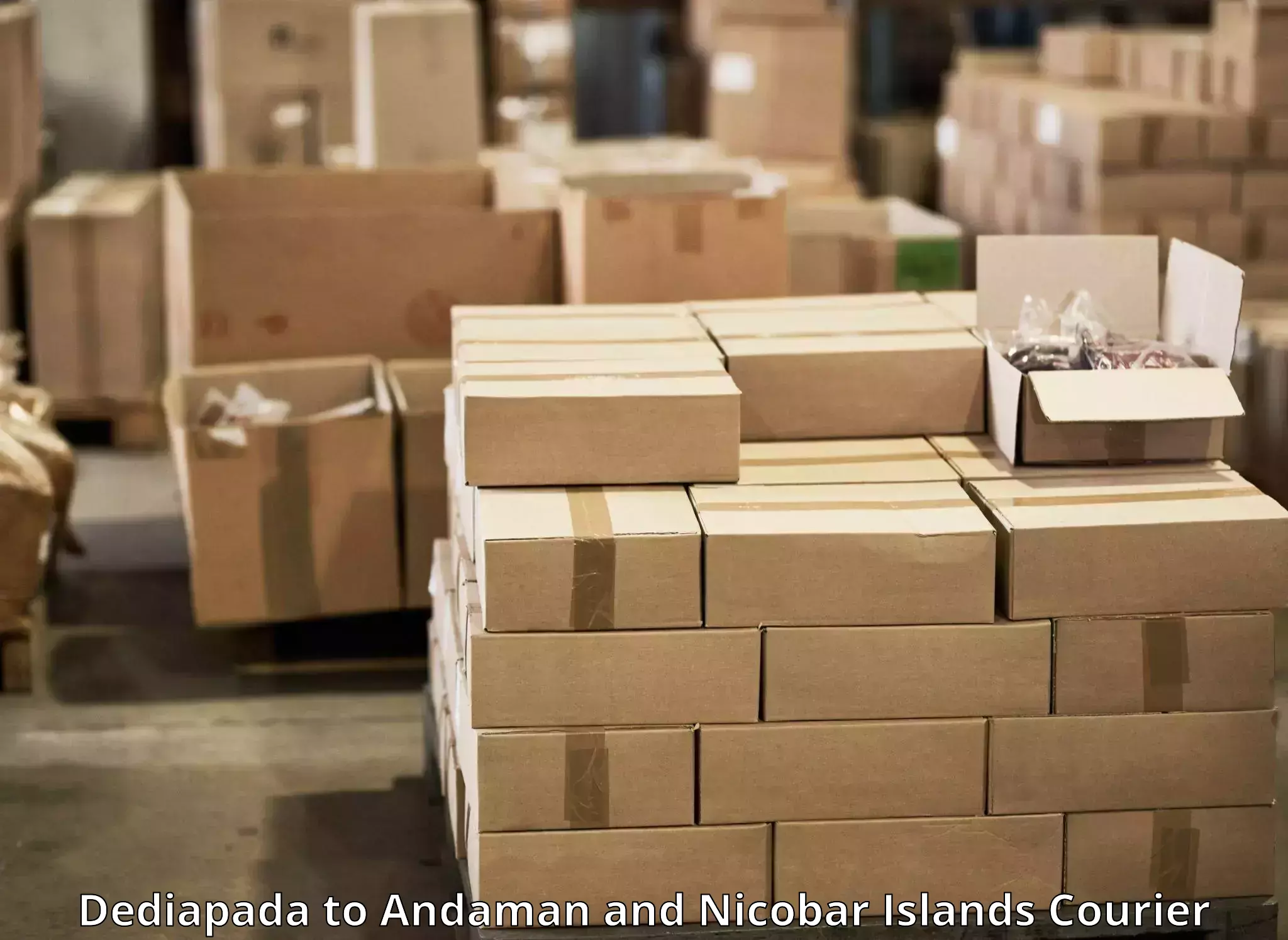 Track and trace shipping Dediapada to Andaman and Nicobar Islands