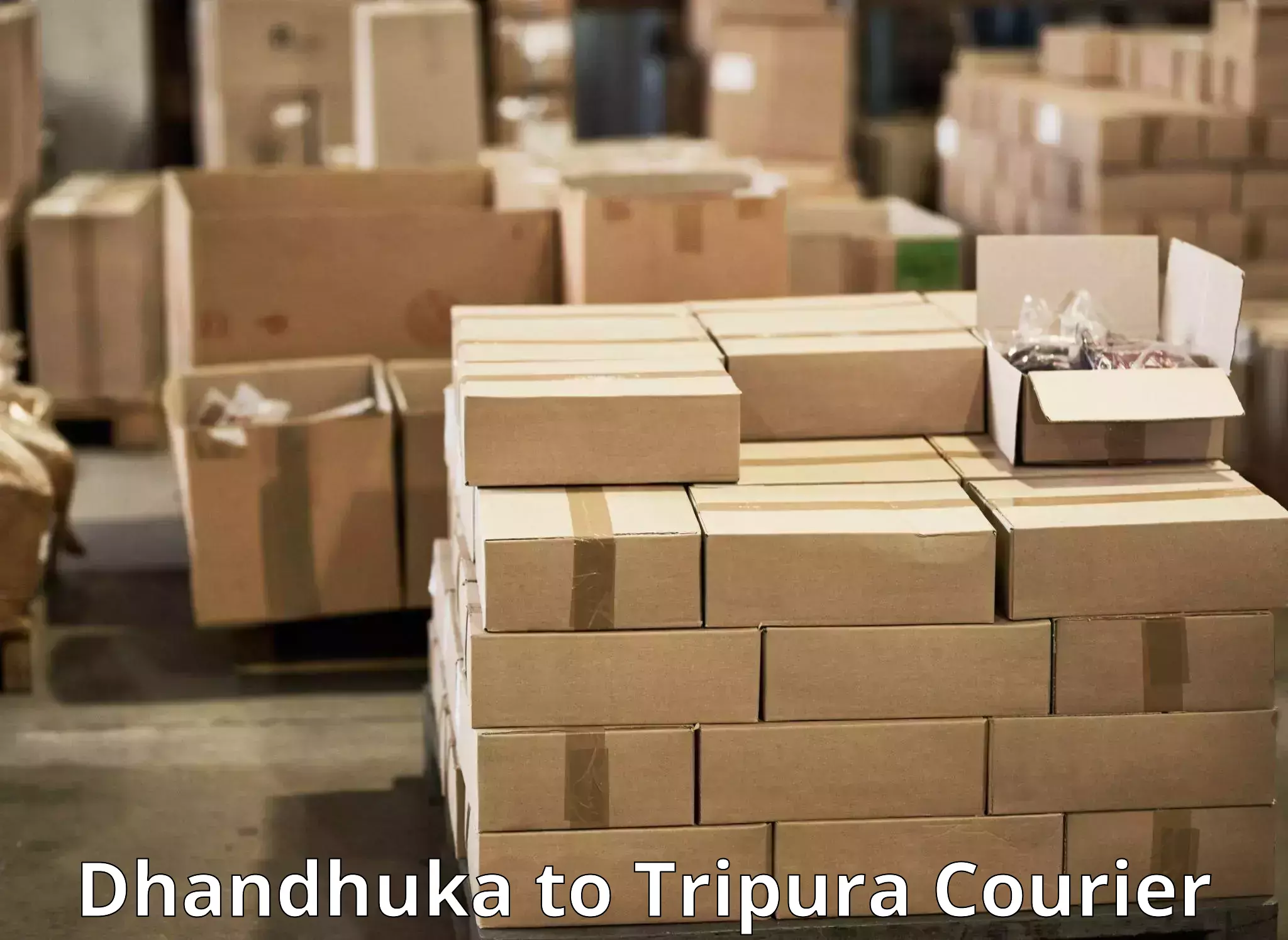 Affordable parcel rates Dhandhuka to Manu Bazar