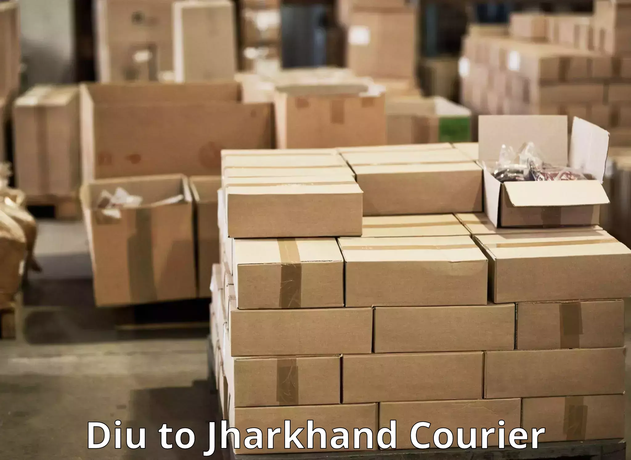 Round-the-clock parcel delivery Diu to Bagodar