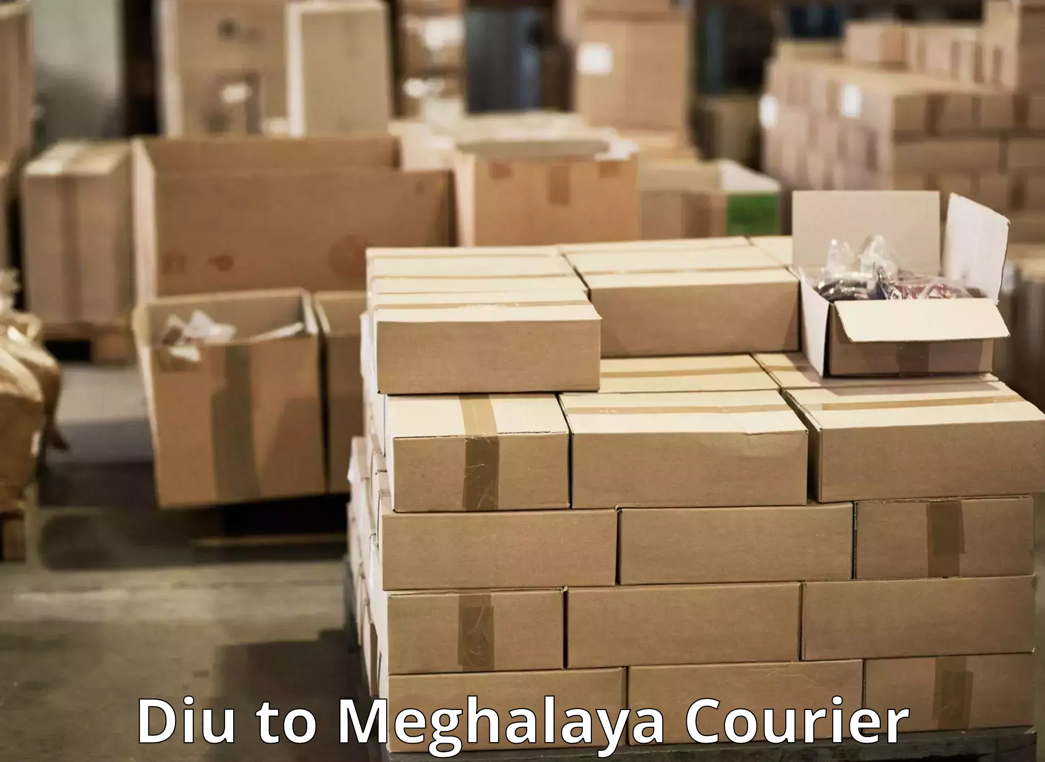 Optimized courier strategies Diu to Garobadha
