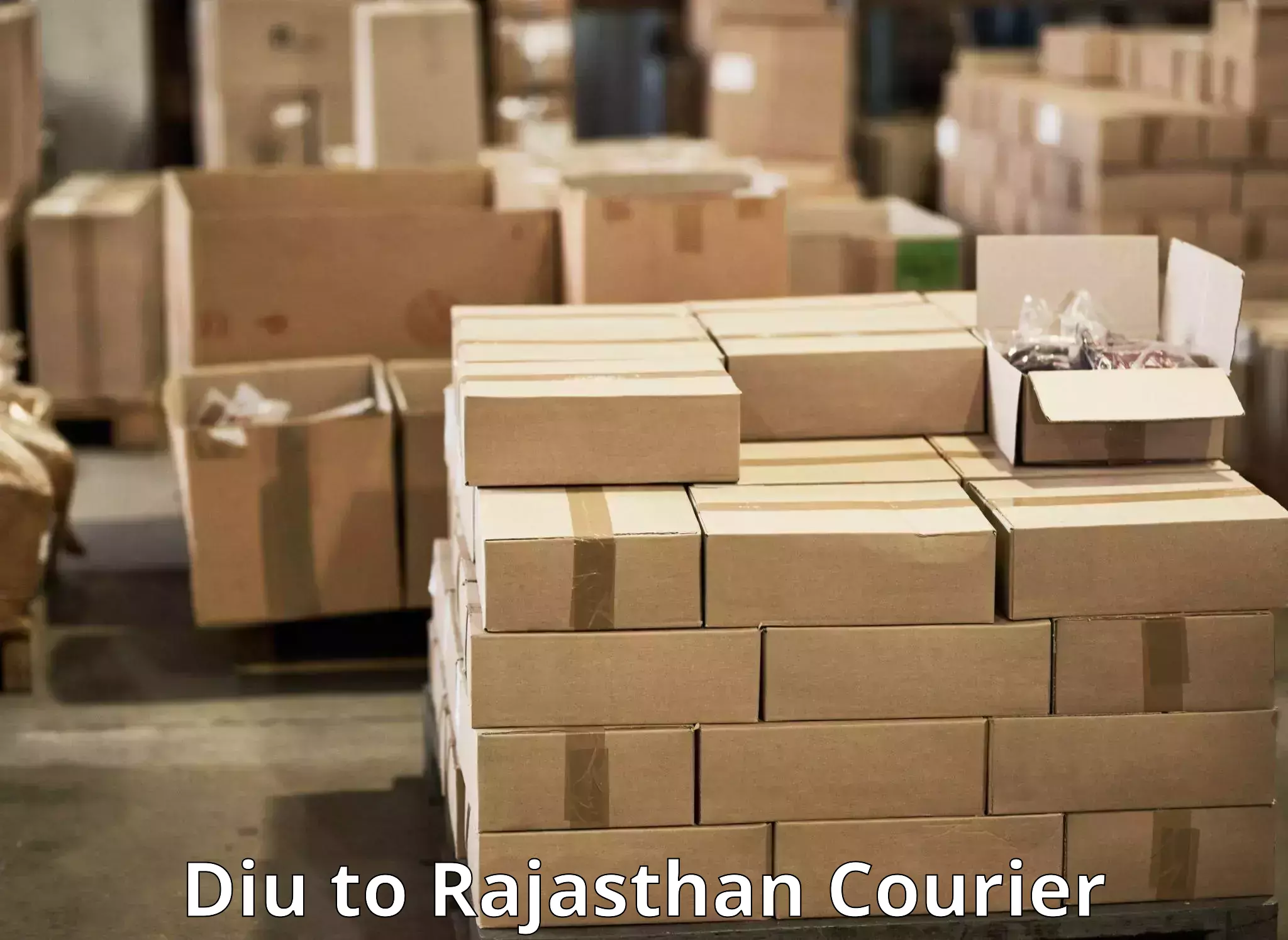 International courier networks Diu to Udaipur