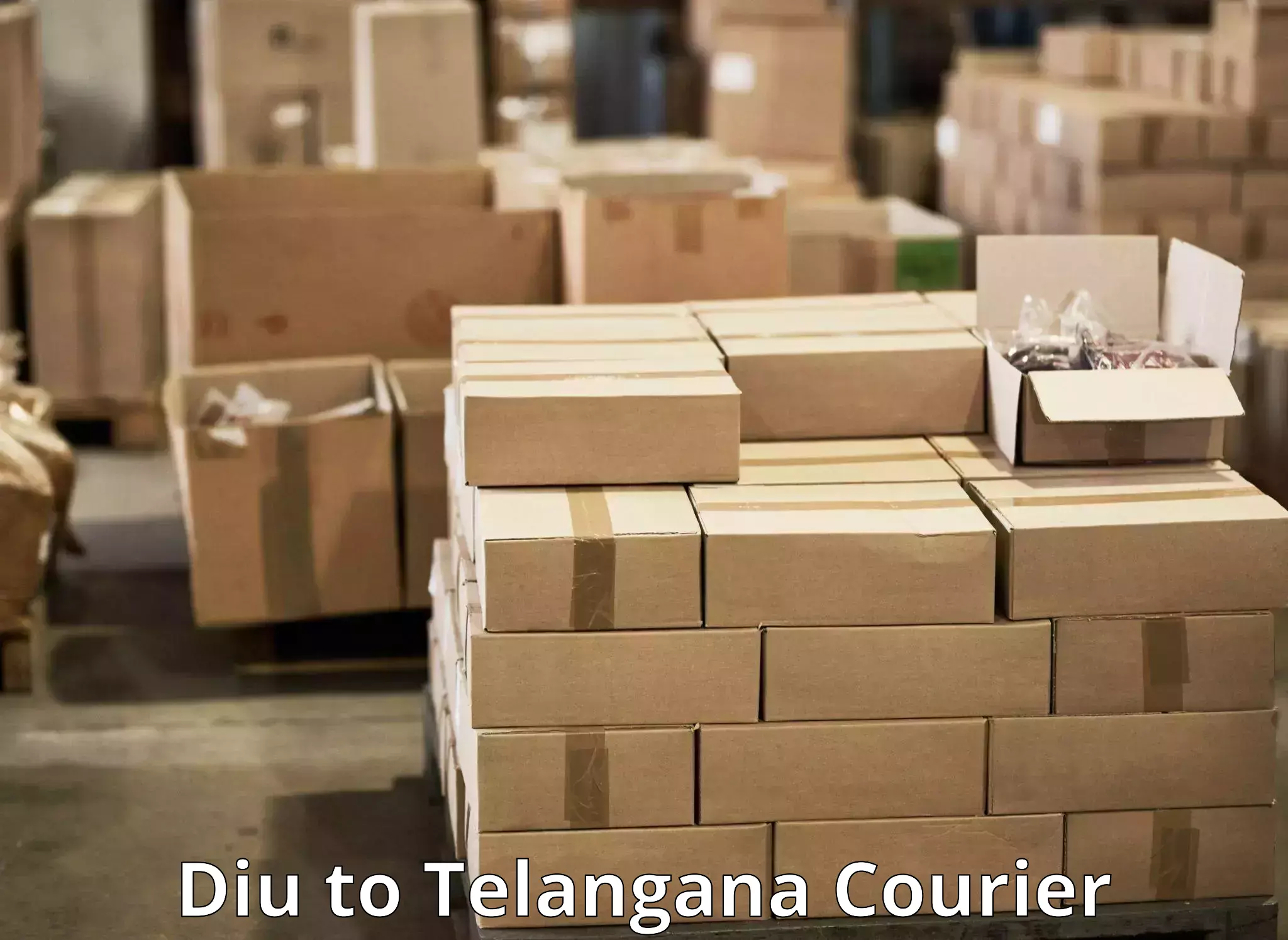 Multi-service courier options Diu to Ibrahimpatnam