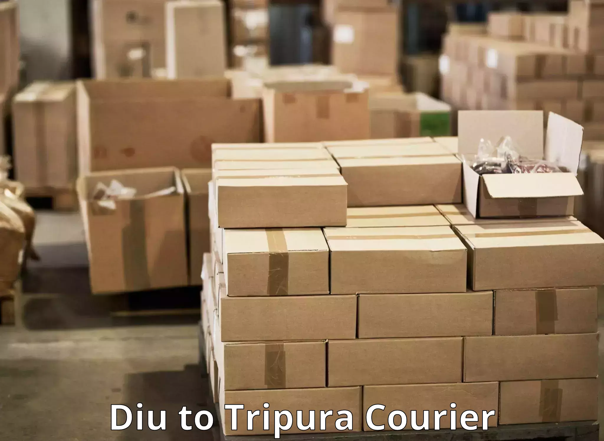 Heavy parcel delivery in Diu to West Tripura