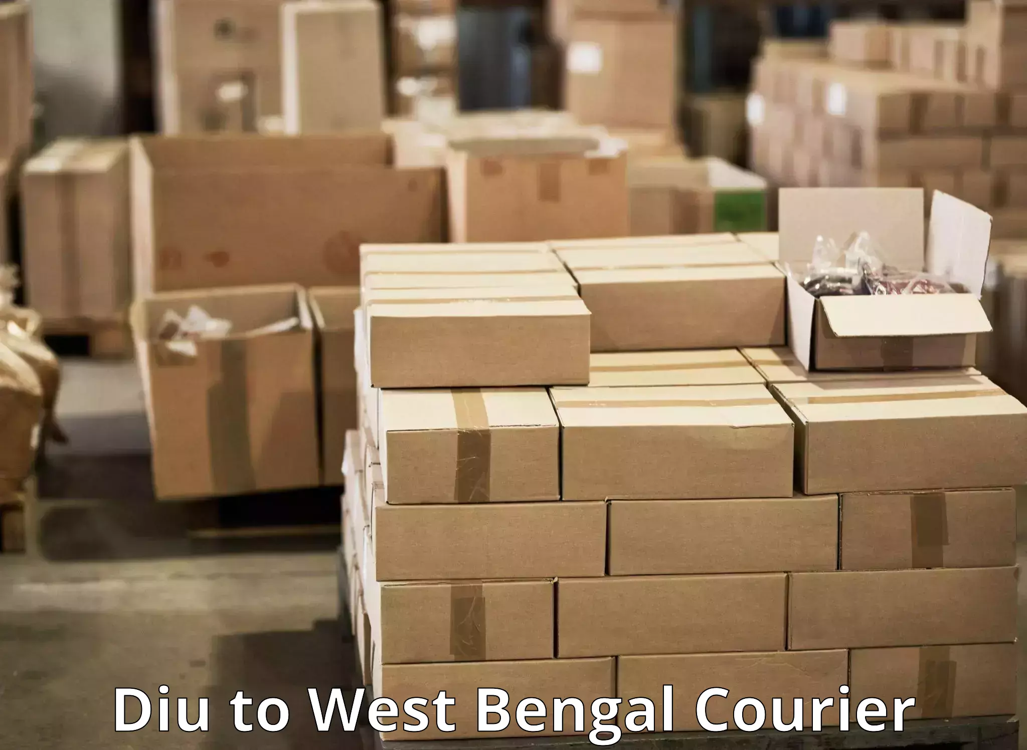 Bulk order courier Diu to Harischandrapur