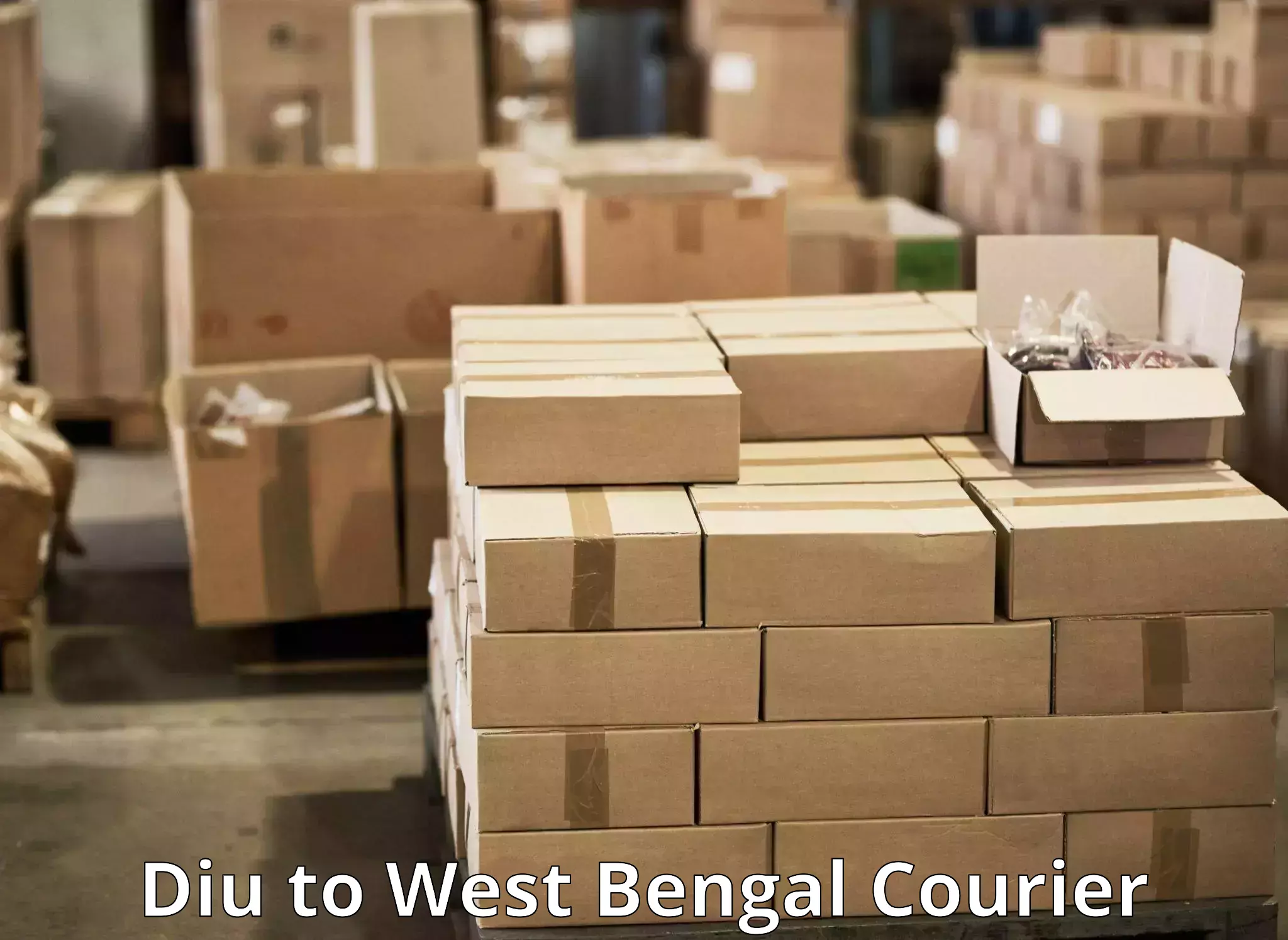 Courier services Diu to Titagarh