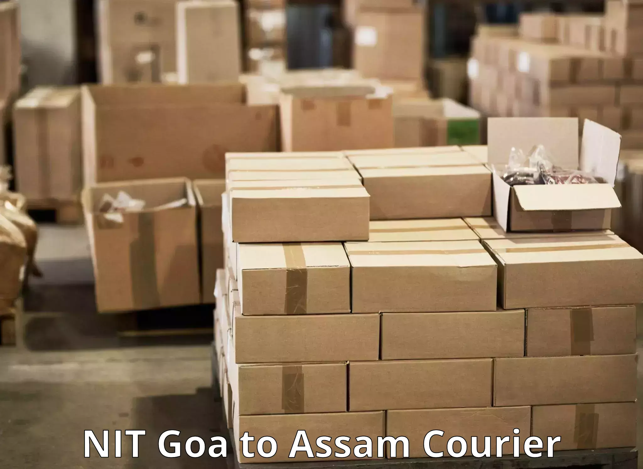 Courier dispatch services NIT Goa to Tezpur University