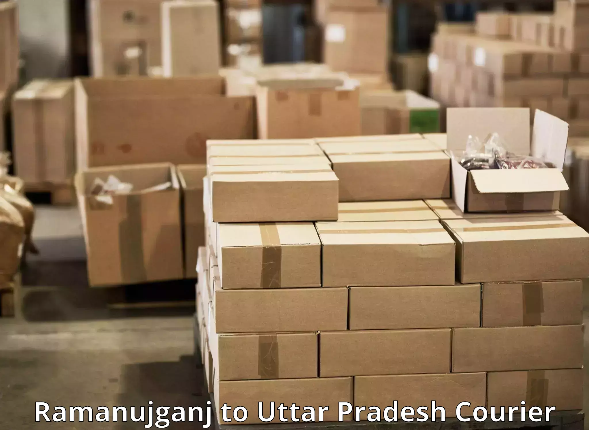 Easy access courier services in Ramanujganj to Dadri