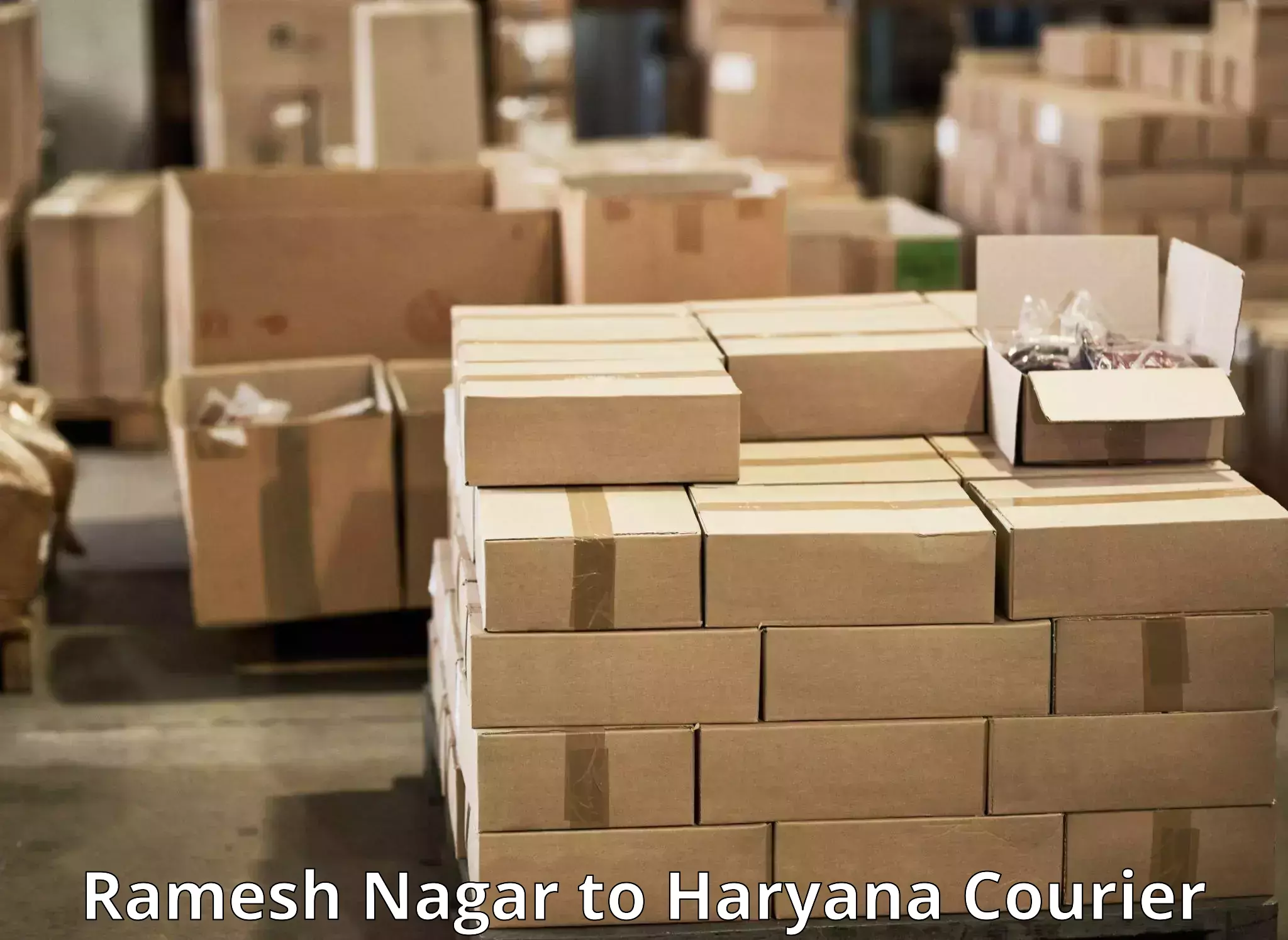 Secure package delivery in Ramesh Nagar to Shahabad Markanda
