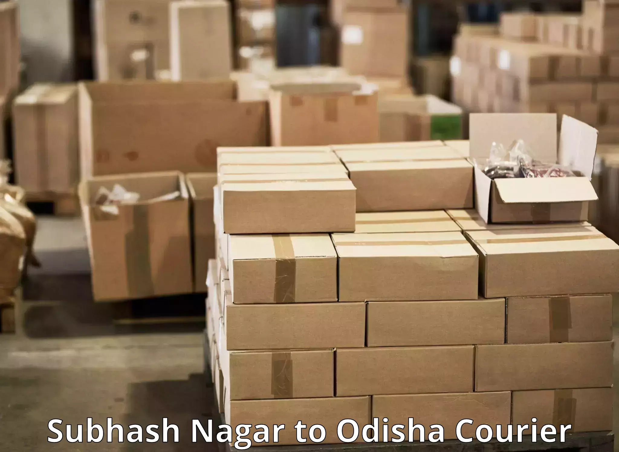 Efficient parcel delivery Subhash Nagar to Baisinga