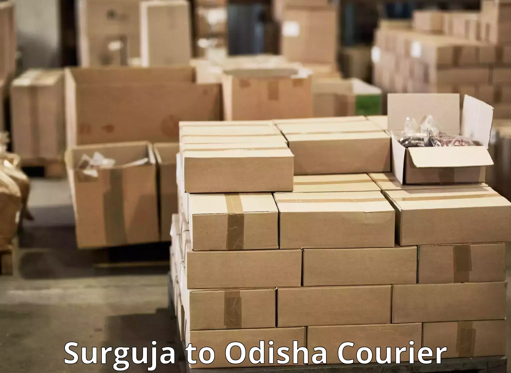 Express courier capabilities Surguja to Baripada