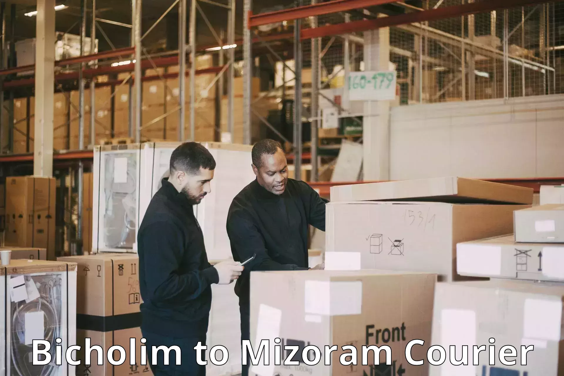 Reliable package handling Bicholim to Mizoram