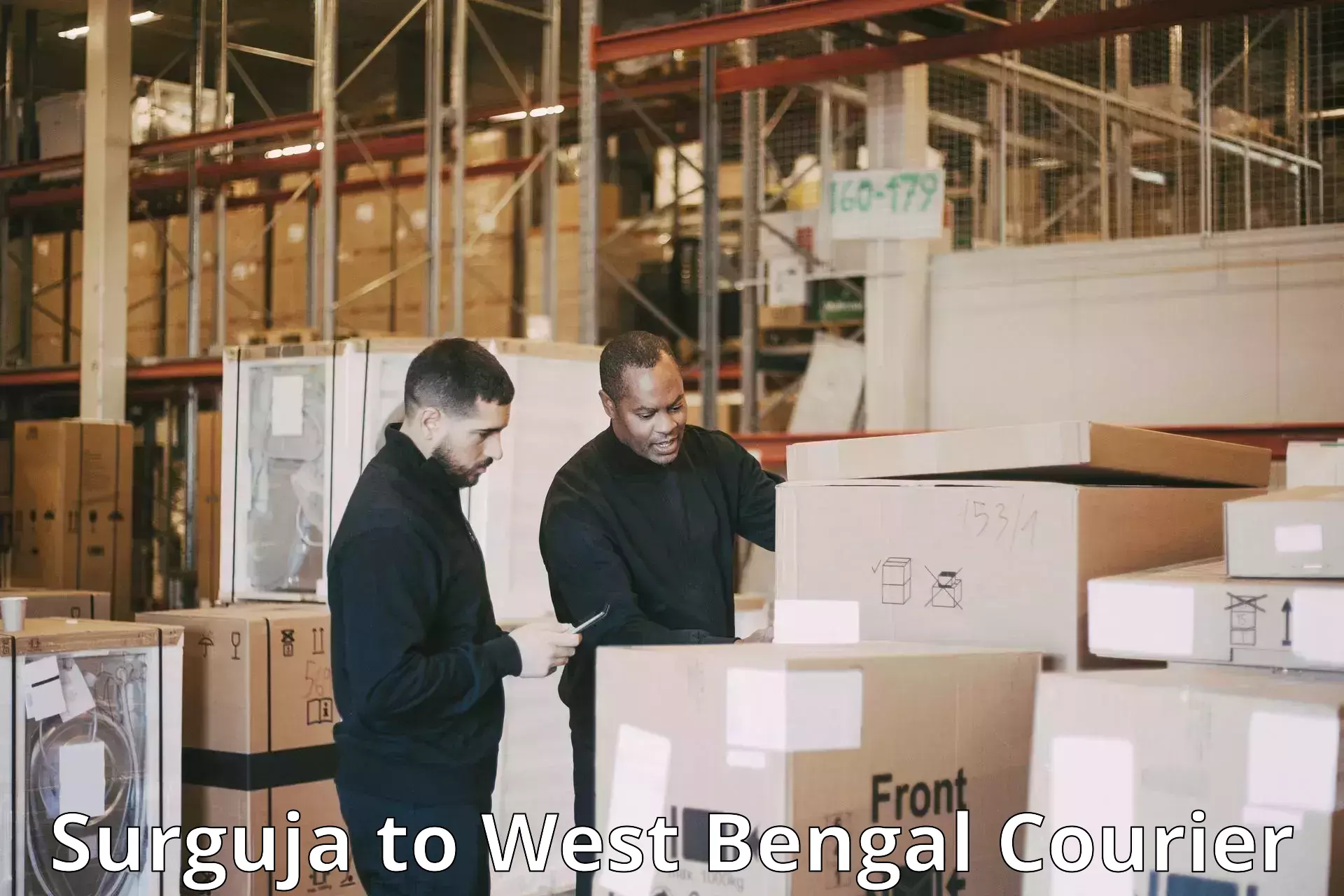 Global parcel delivery Surguja to Uttar Dinajpur