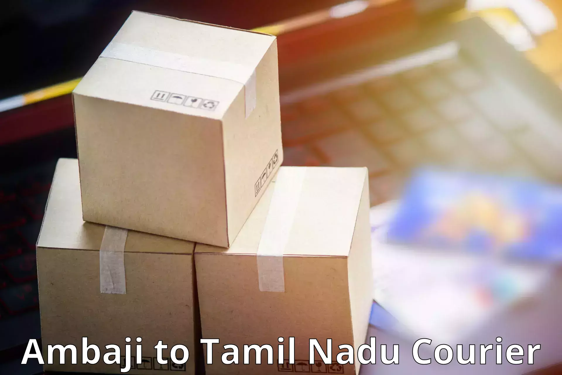 Efficient parcel delivery Ambaji to Thiruvadanai